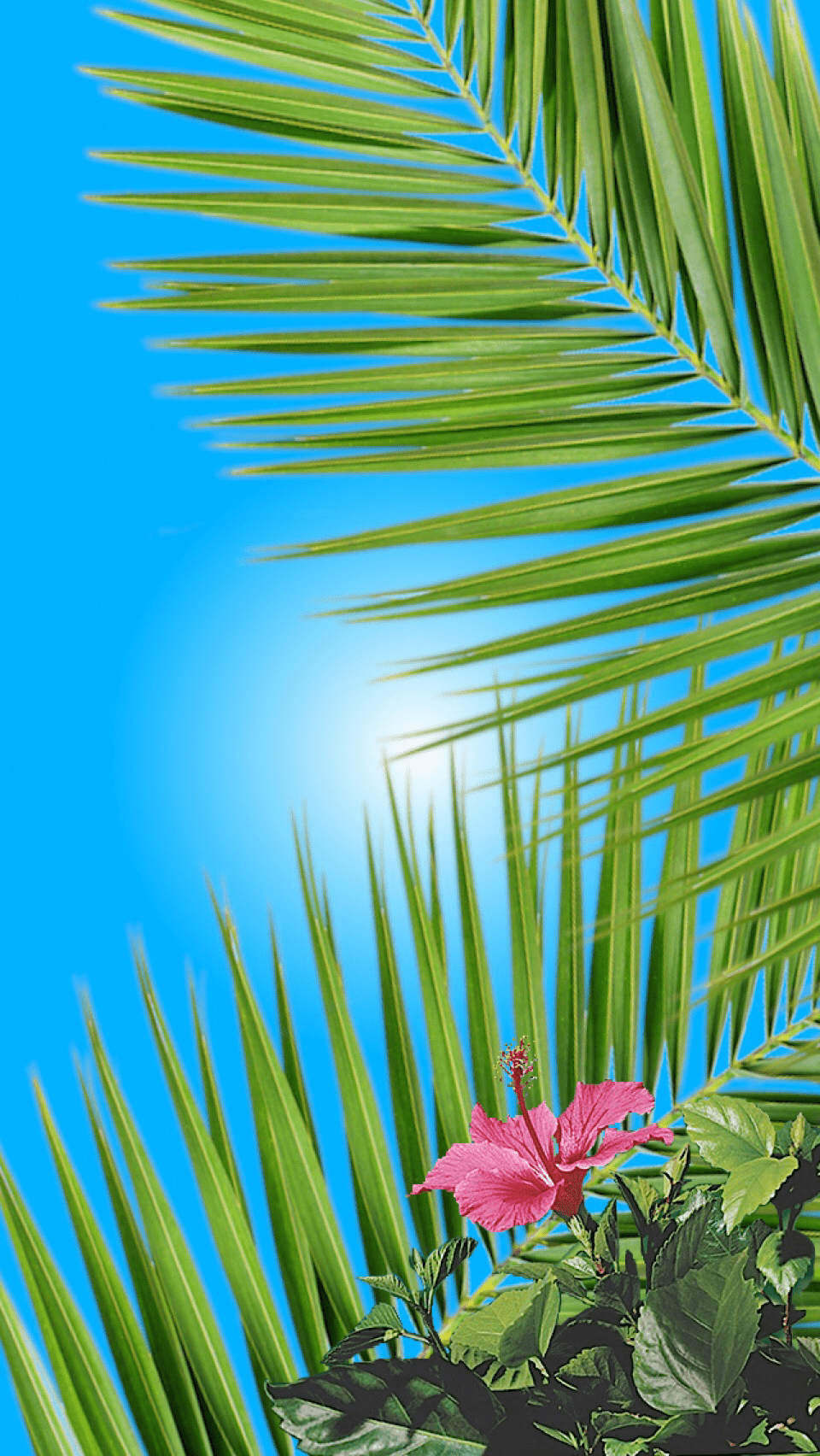 960x1704 Fiji Water