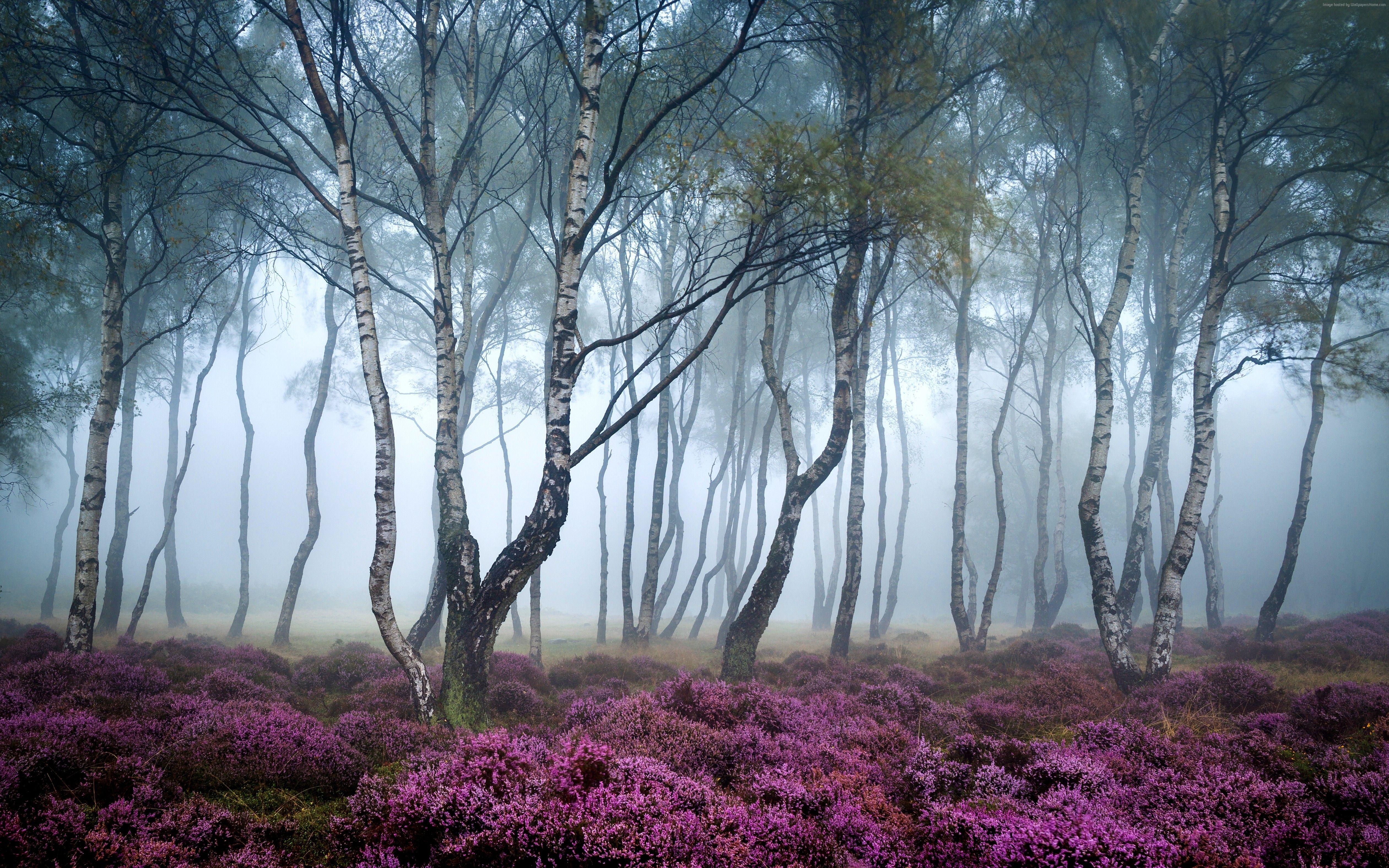 5042x3151 Super High Resolution Wallpaper, HD Super High Resolution Background
