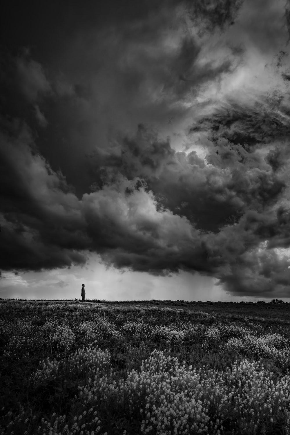 1000x1499 Weather Picture. Download Free Image