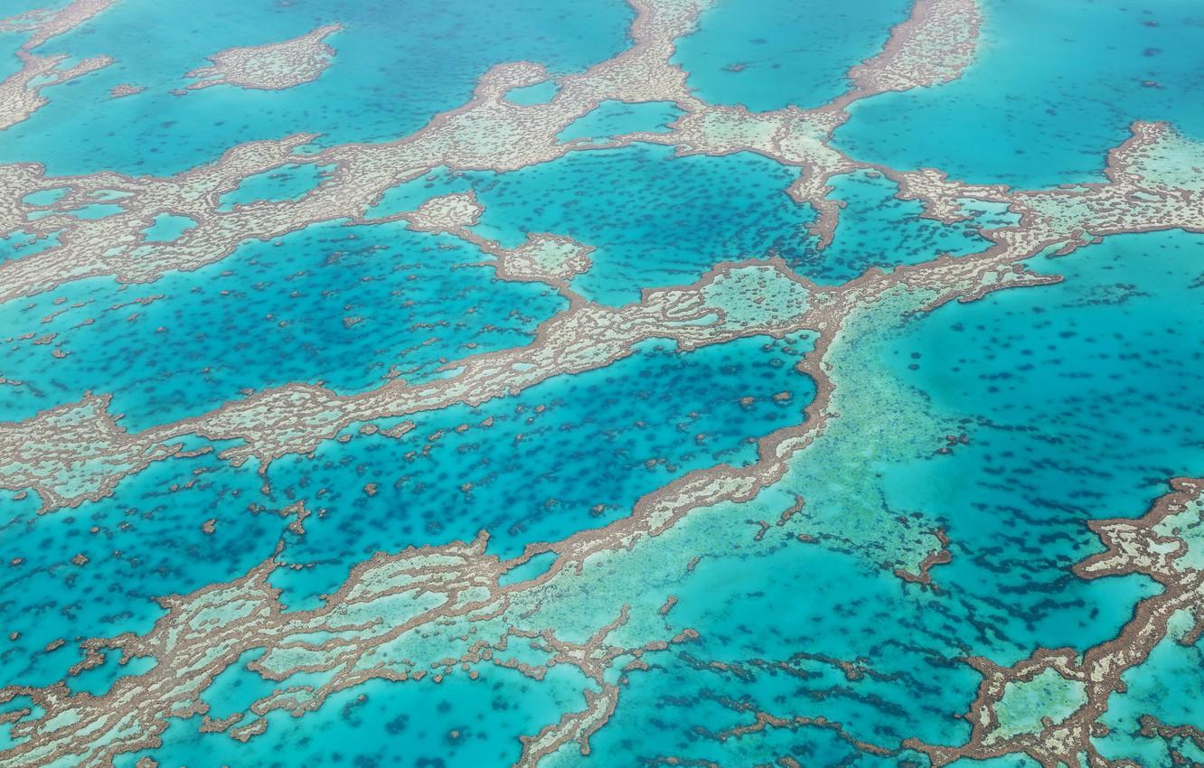 1332x850 Wallpaper water, texture, the Caribbean sea, bryerly reef image for desktop, section природа