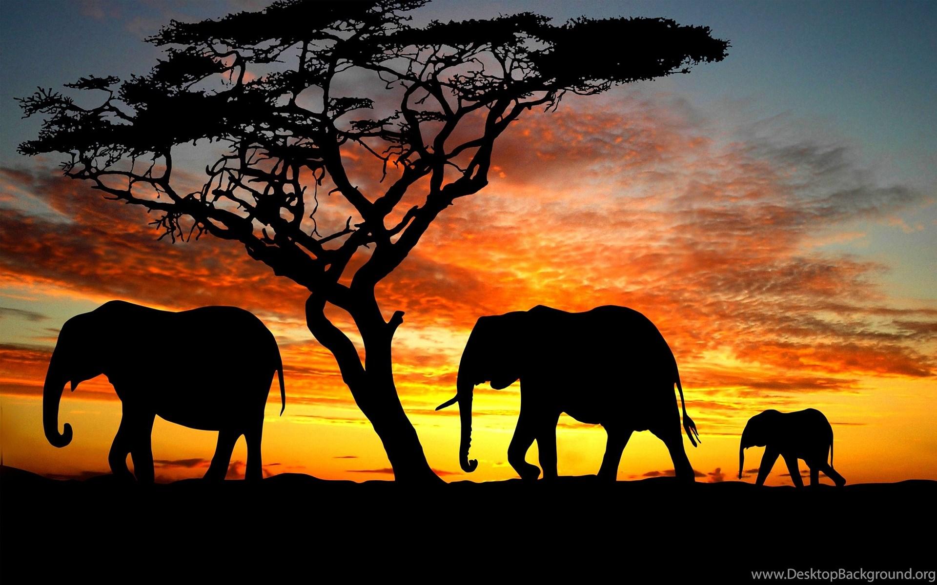 1920x1200 Elephant Wallpaper Art Desktop Background