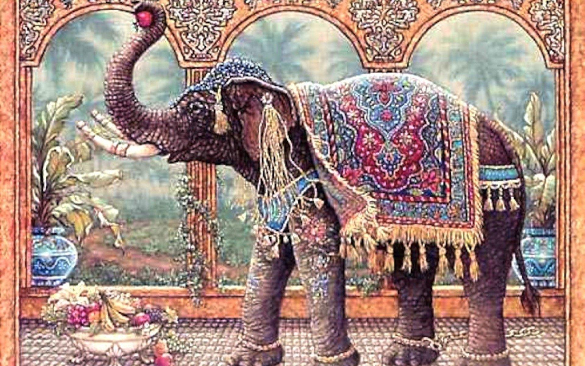 1920x1200 Wallpaper Elephant Photo HD