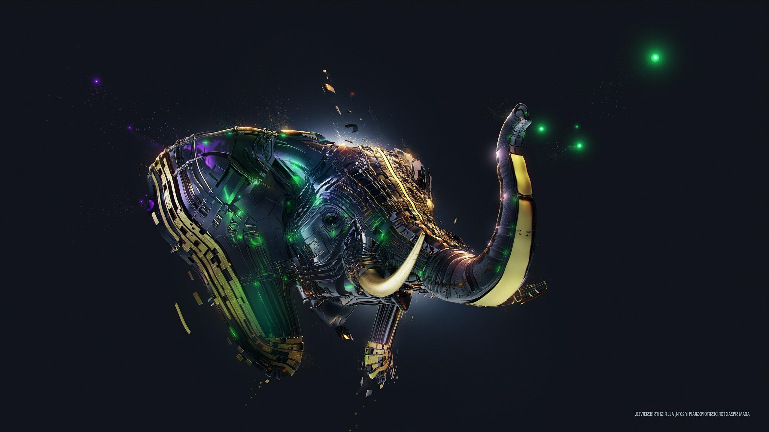 2560x1440 Elephant Art Wallpaper