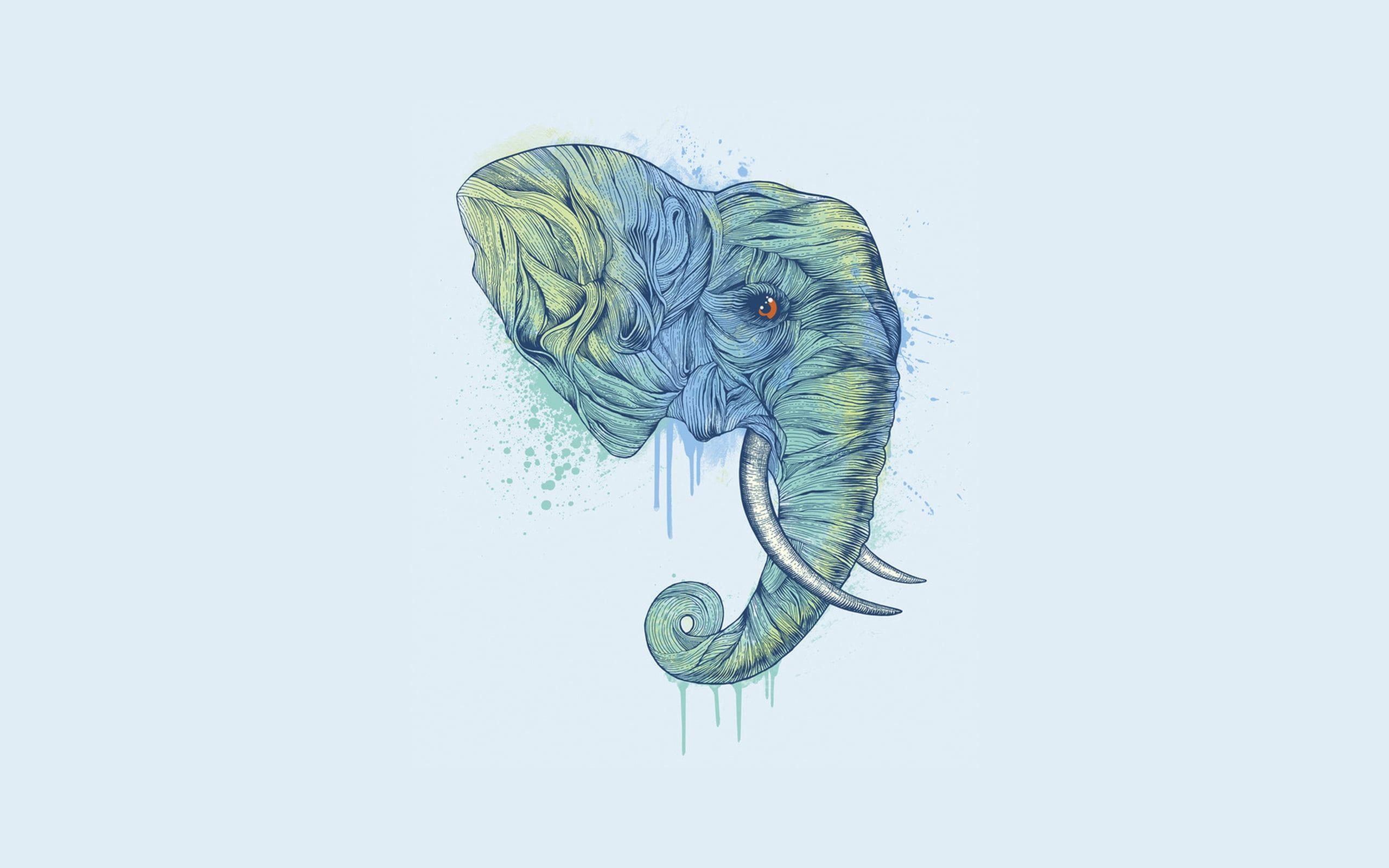 2560x1600 Elephant Face Wallpaper, HD Elephant Face Background