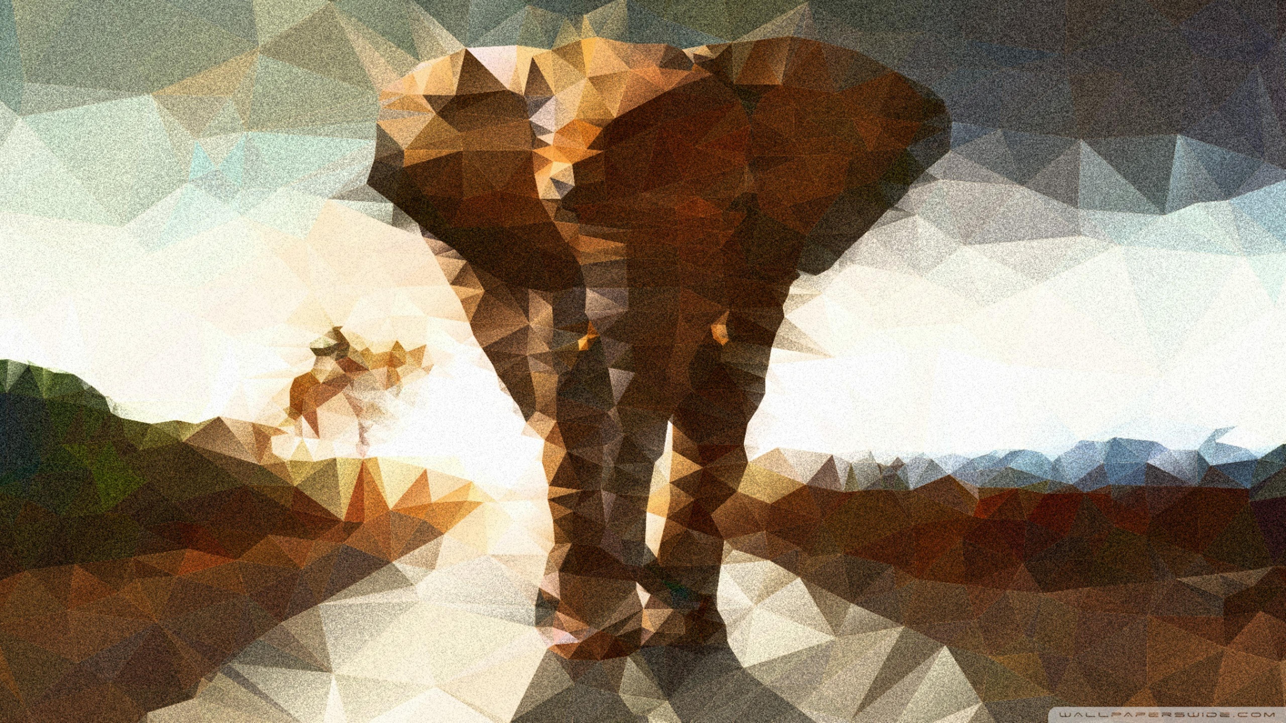 5120x2880 Elephant polygon illustration