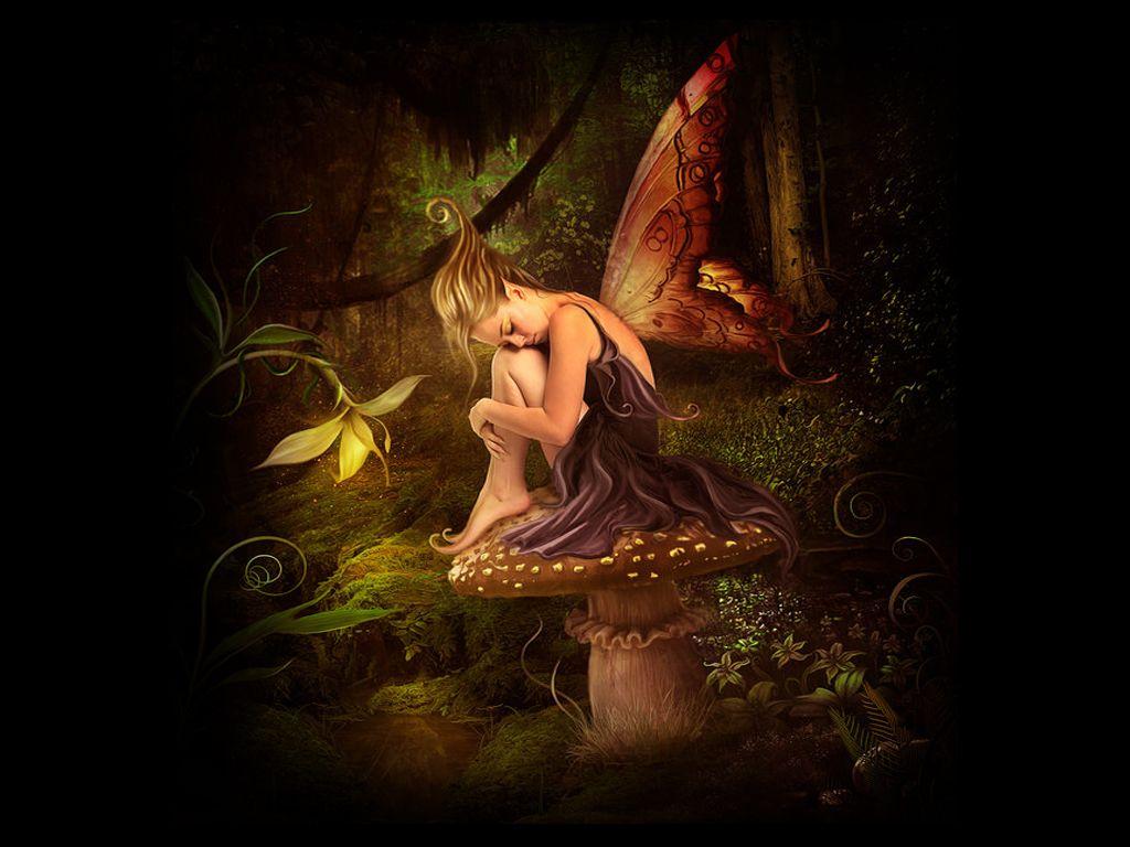 1024x768 Fairy Background Wallpaper. Fantasy art illustrations, Fairy wallpaper, Fairy art