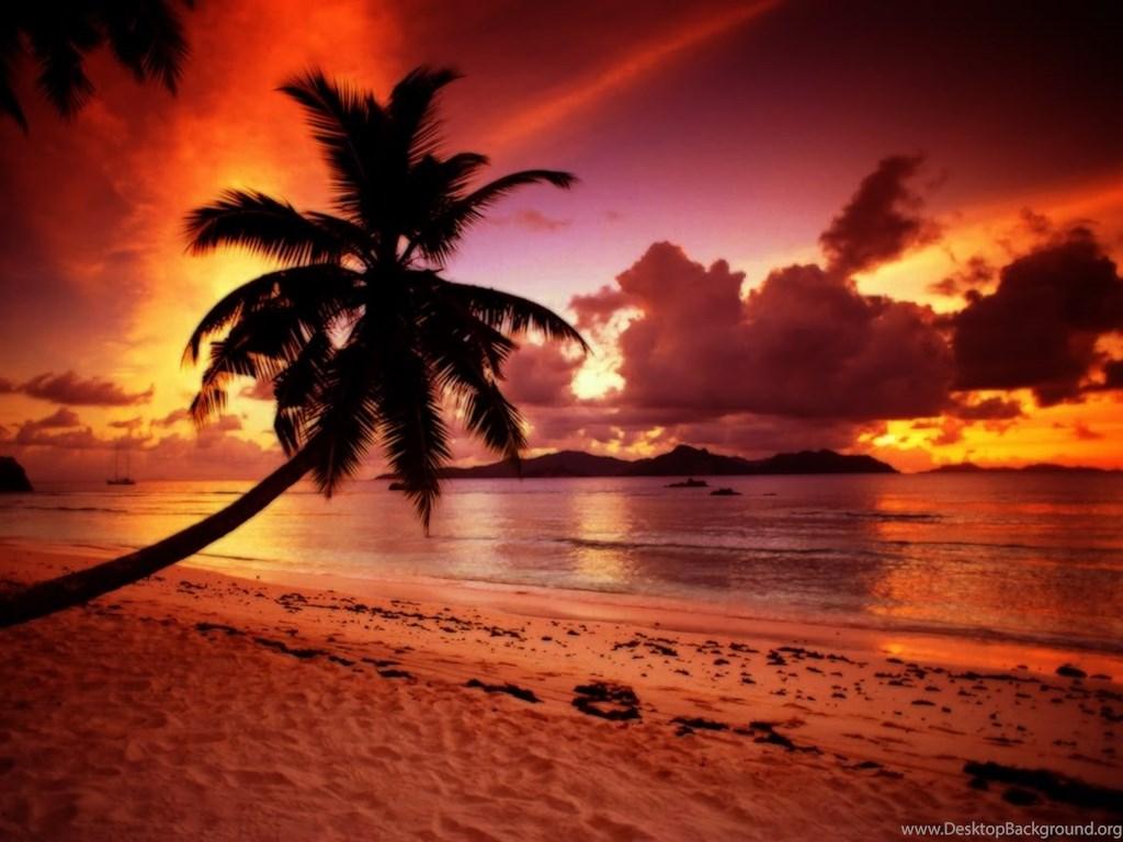 1024x768 Tropical Beach Paradise Sunset Wallpaper. Desktop Background