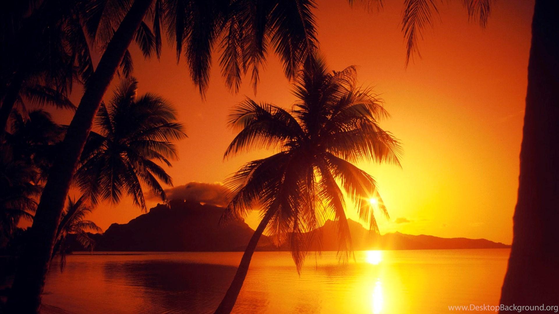 Tropical Paradise Sunset Wallpapers Top Free Tropical Paradise Sunset Backgrounds