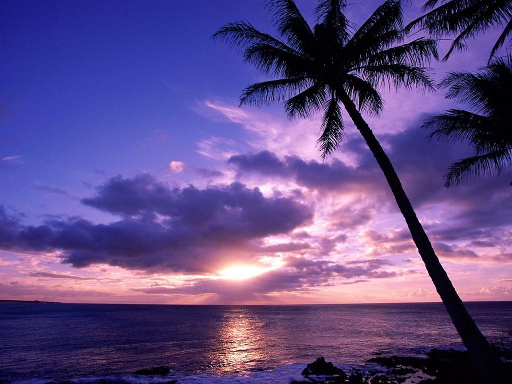 1024x768 Tropical Beach Paradise Sunset Wallpaper Cool Desktop