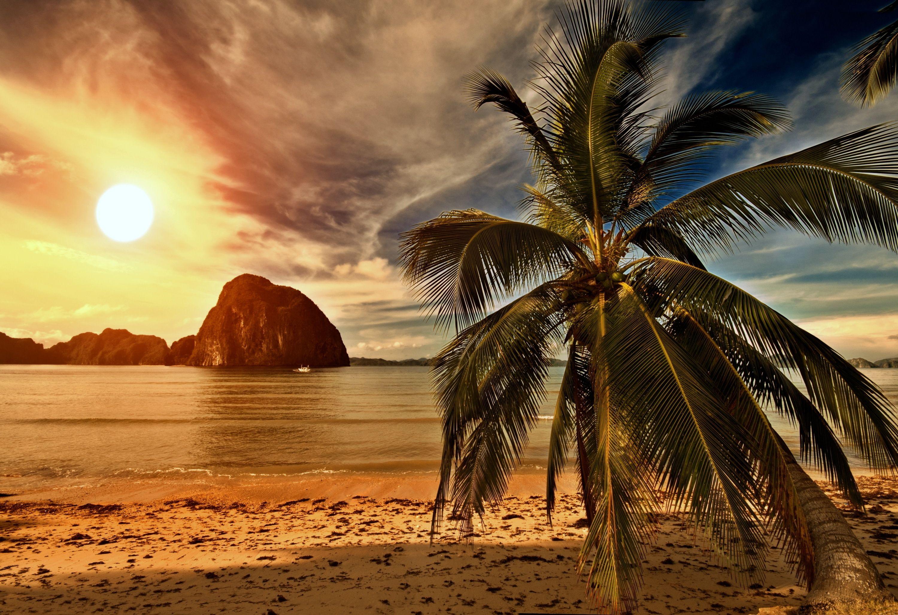 3000x2054 Wallpaper tropical, paradise, beach, palms, sea, ocean, sunset, beach, sea wallpaper nature. Sunset, Sunset wallpaper, Ocean wave sounds