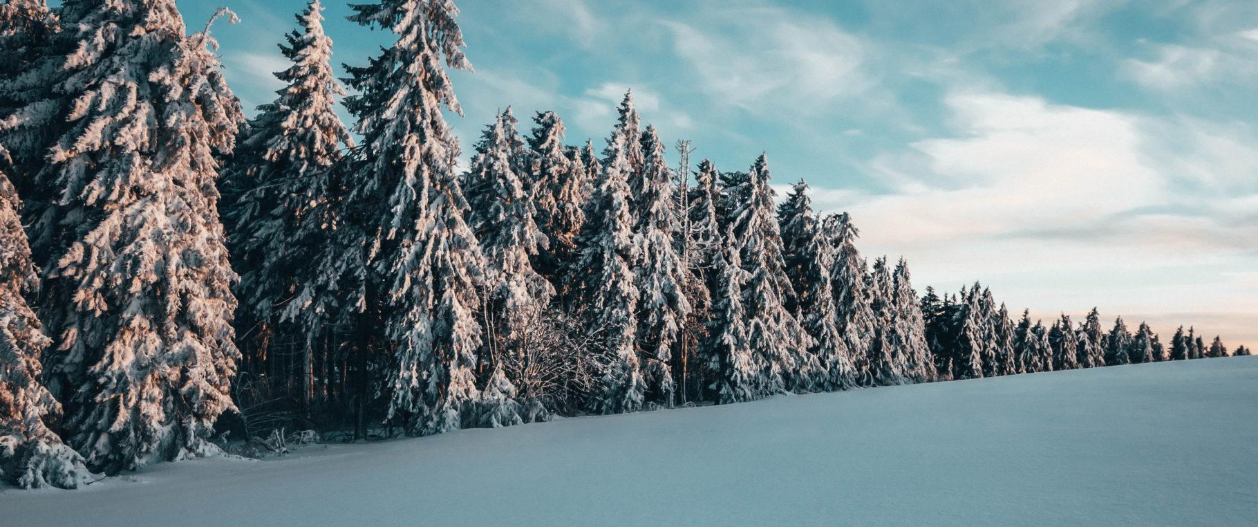 1820x762 Snow Trees (3440×1440 Wallpaper)x1440 Wallpaper