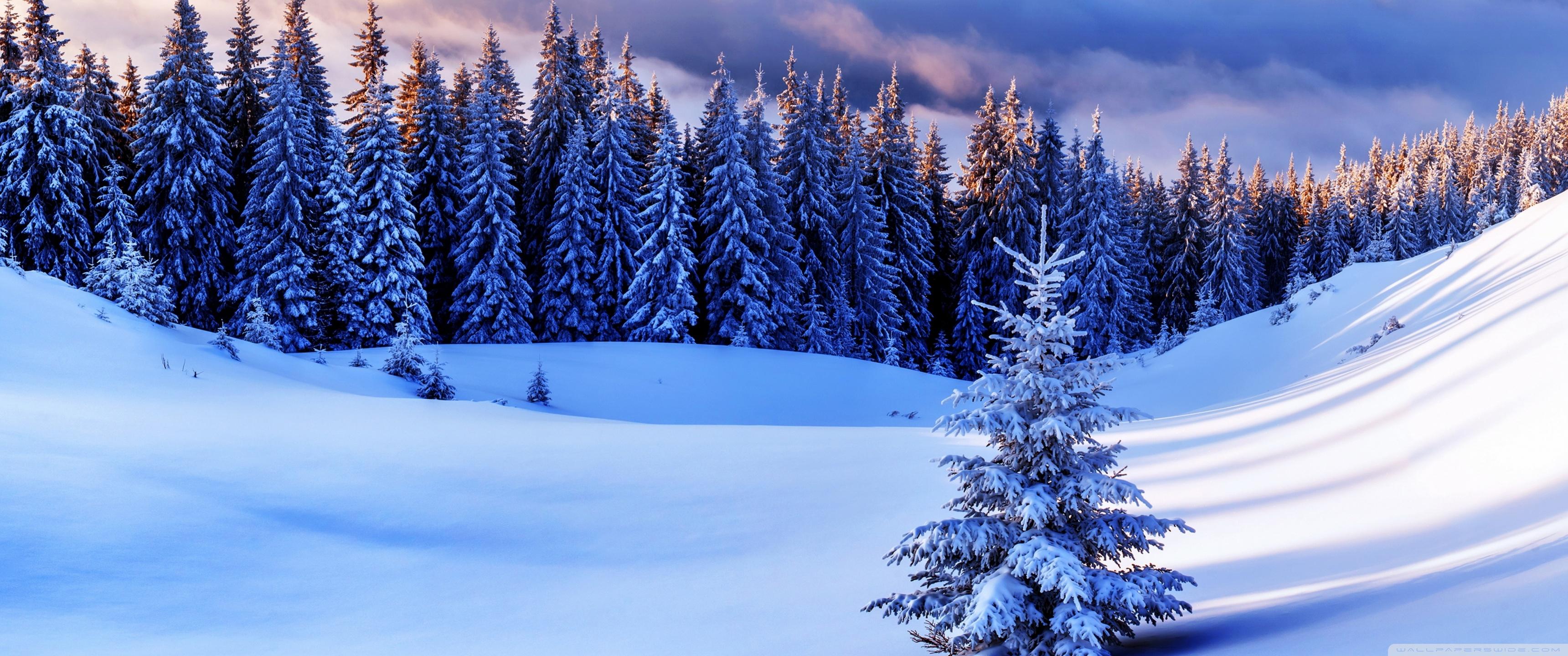 3440X1440 Winter Wallpapers - Top Free 3440X1440 Winter Backgrounds ...