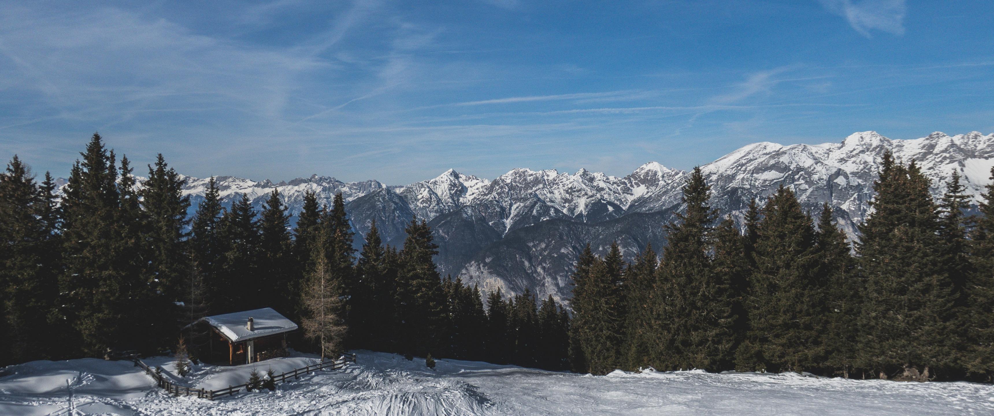 3440x1440 #forest, #snow, #landscape, #ultrawide, #mountains, wallpaper. Mocah HD Wallpaper