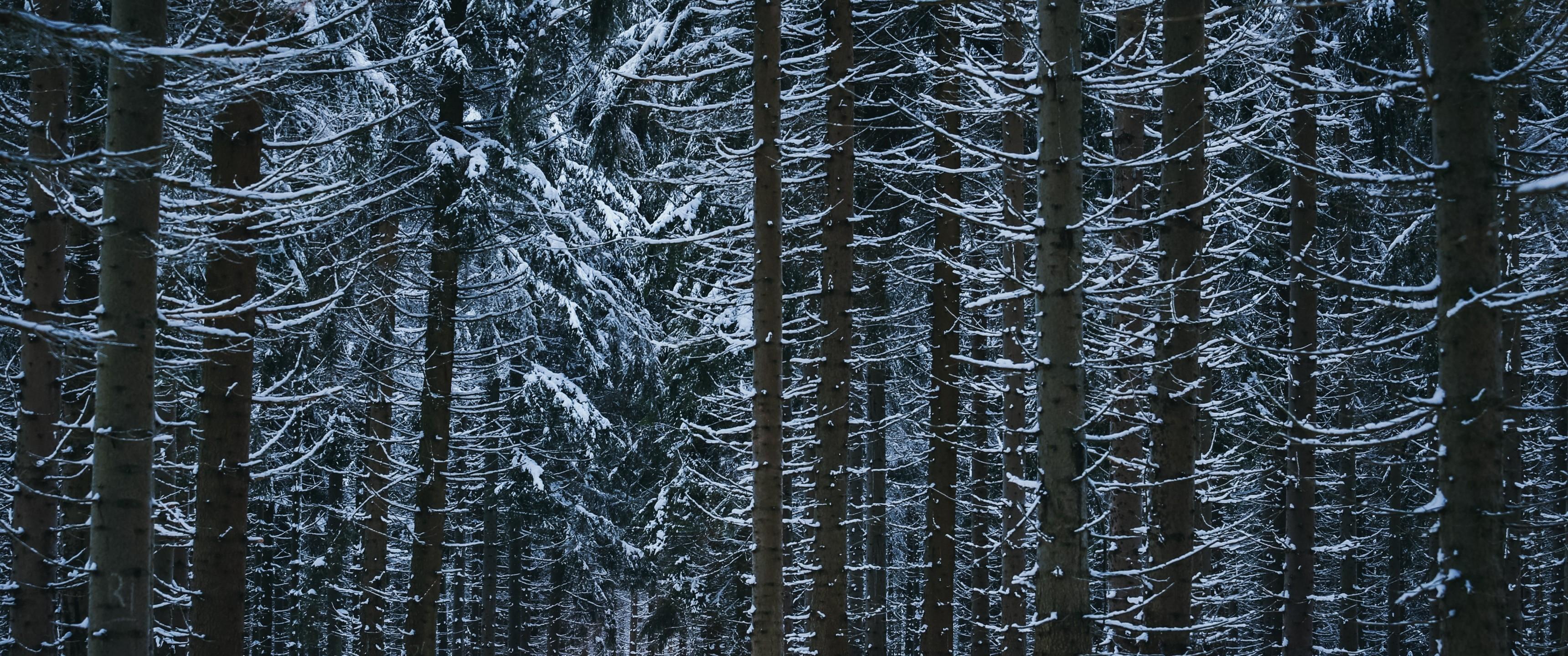 3440x1440 Winter Wallpapers Top Free 3440x1440 Winter Backgrounds