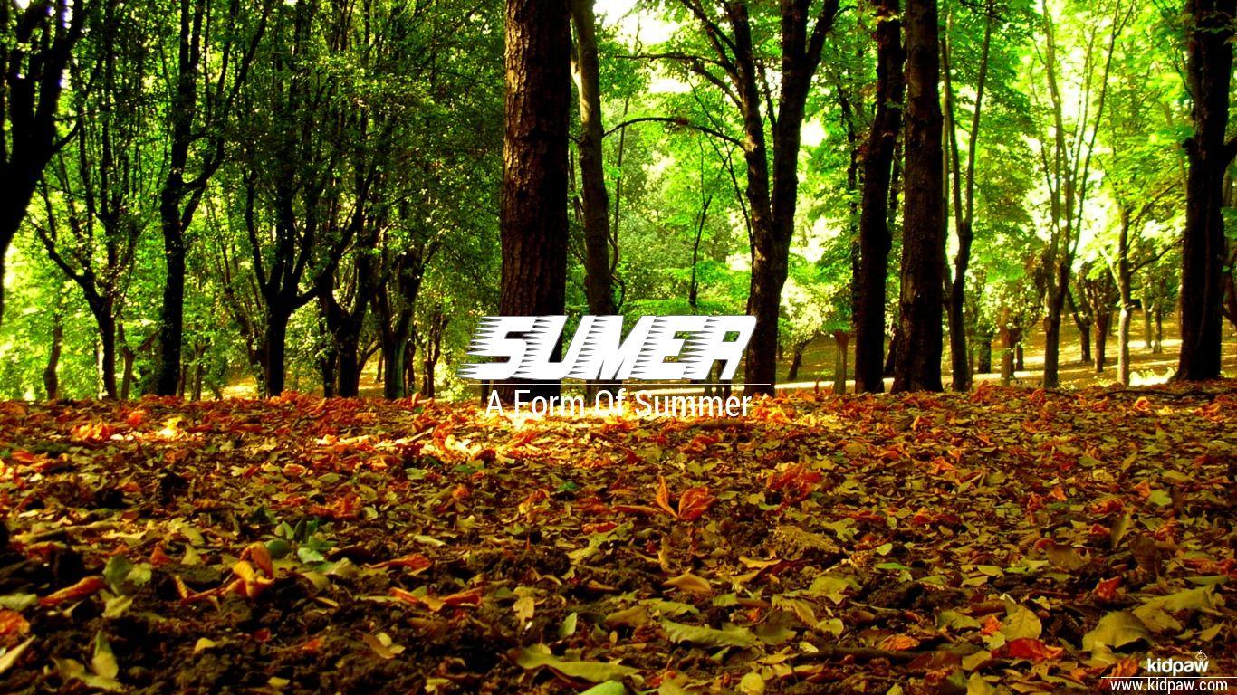 1366x768 Christian Baby Girl Name Sumer Meanings, Religion, Origin Details