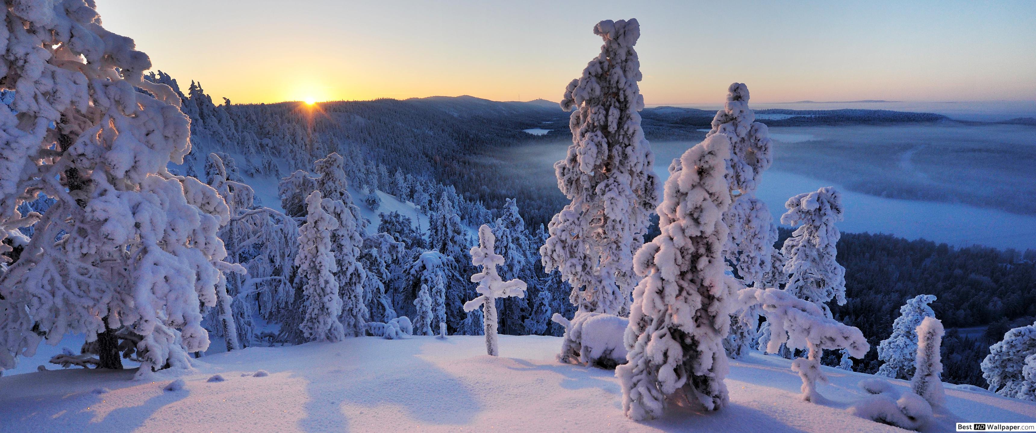 3440x1440 Winter and sunset forest HD wallpaper download