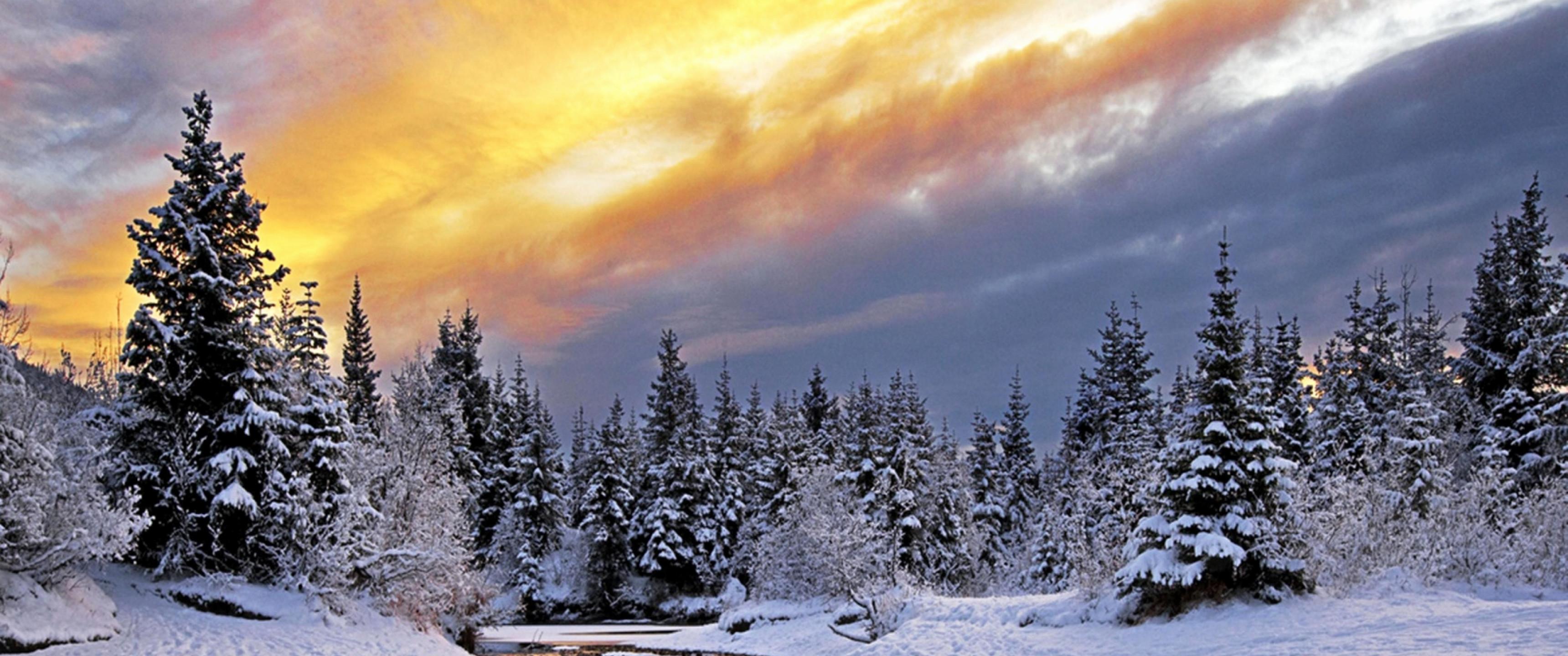 3440x1440 Winter in Forest Valley 3440x1440 Ultra WQHD