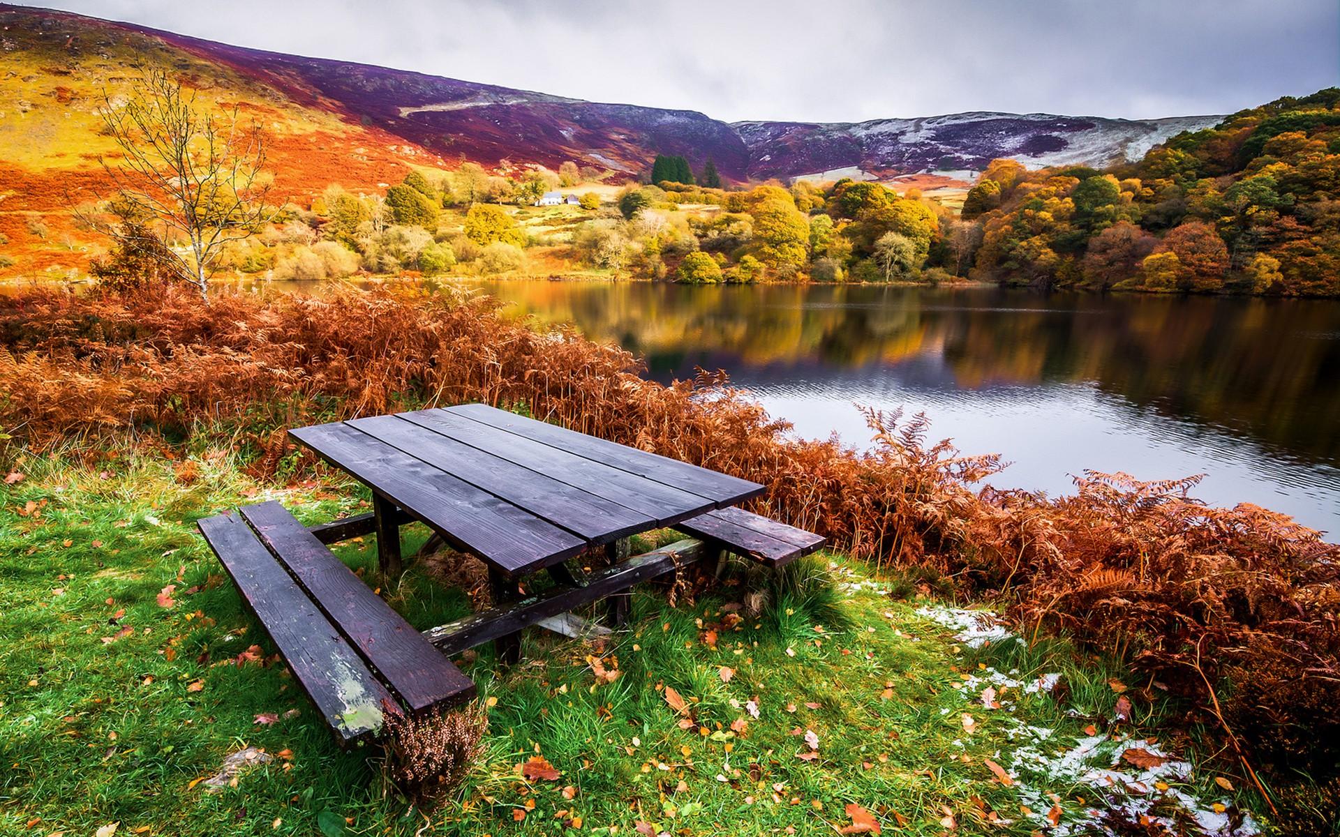 1920x1200 21++ Table Nature Background HD Image