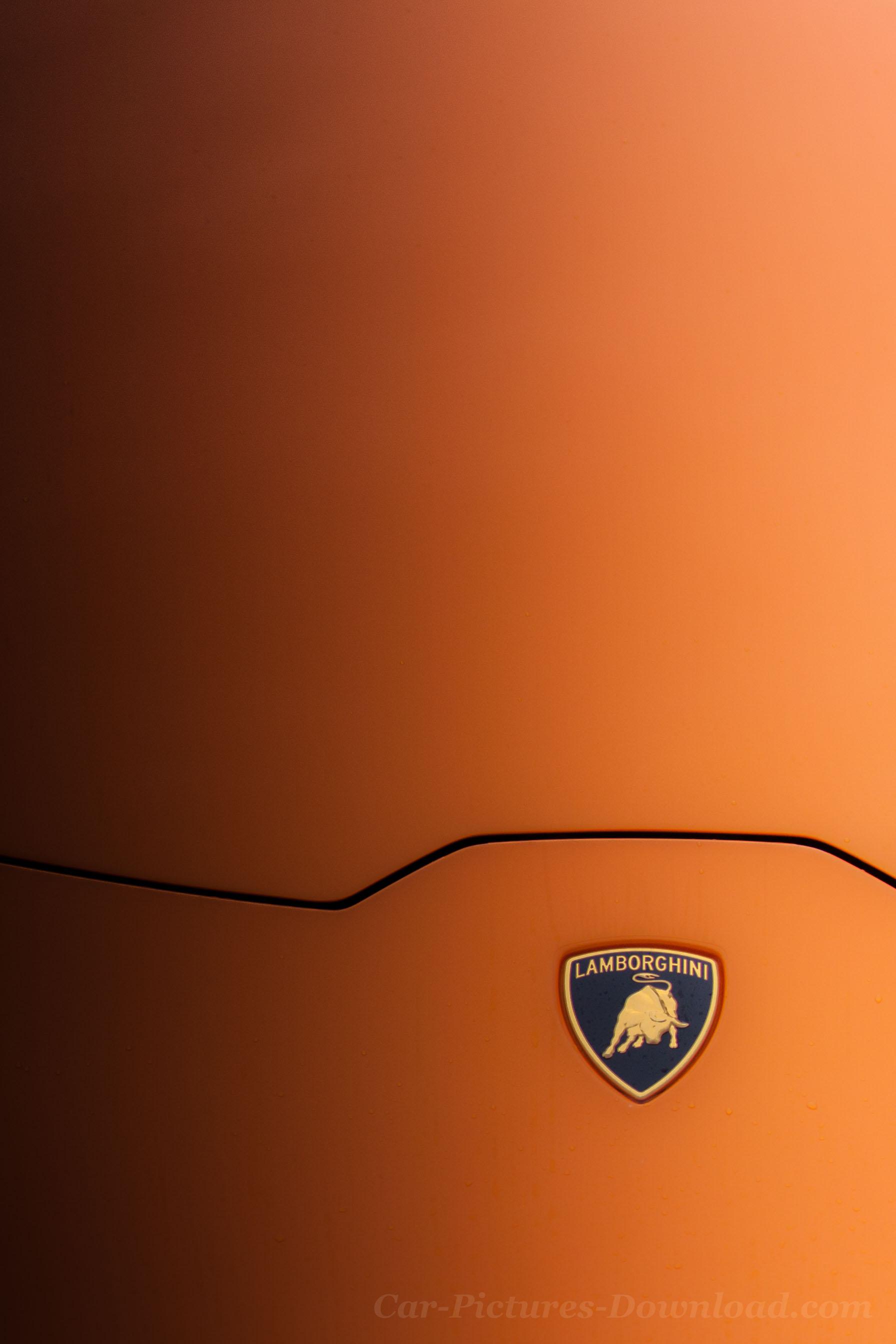 1792x2688 Lamborghini Logo Wallpaper Of Cars Logo HD