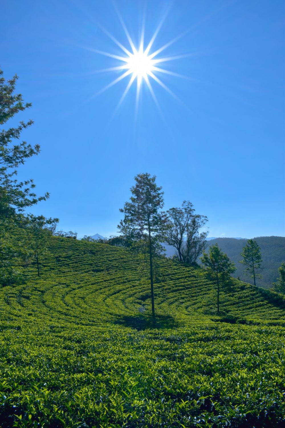 1000x1500 Beautiful Landscape Picture [HD]. Download Free Image