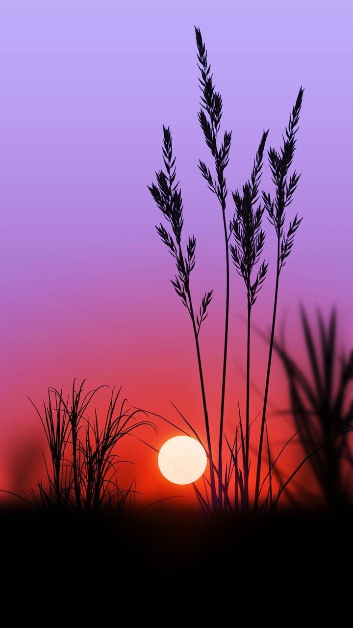 720x1280 Find beauty everywhere. Landscape wallpaper, Photography wallpaper, Landscape photography nature