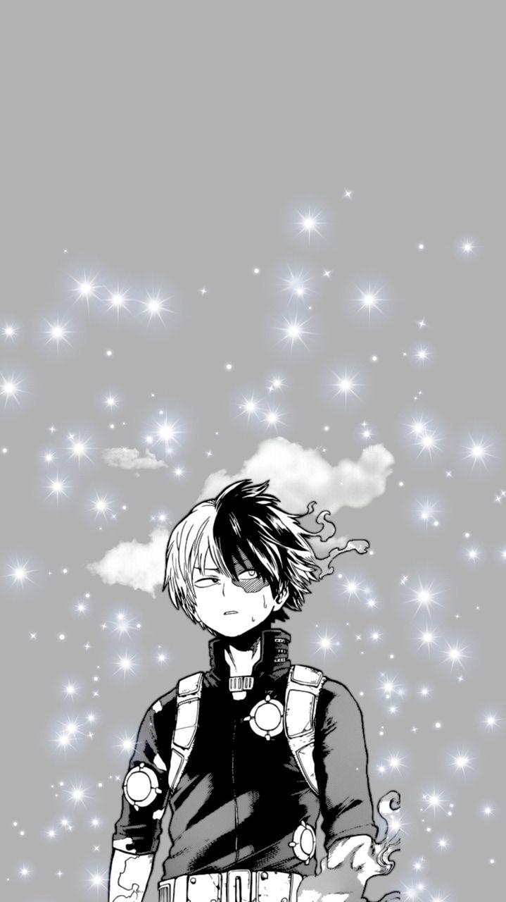 719x1280 Shoto Todoroki Phone Wallpaper
