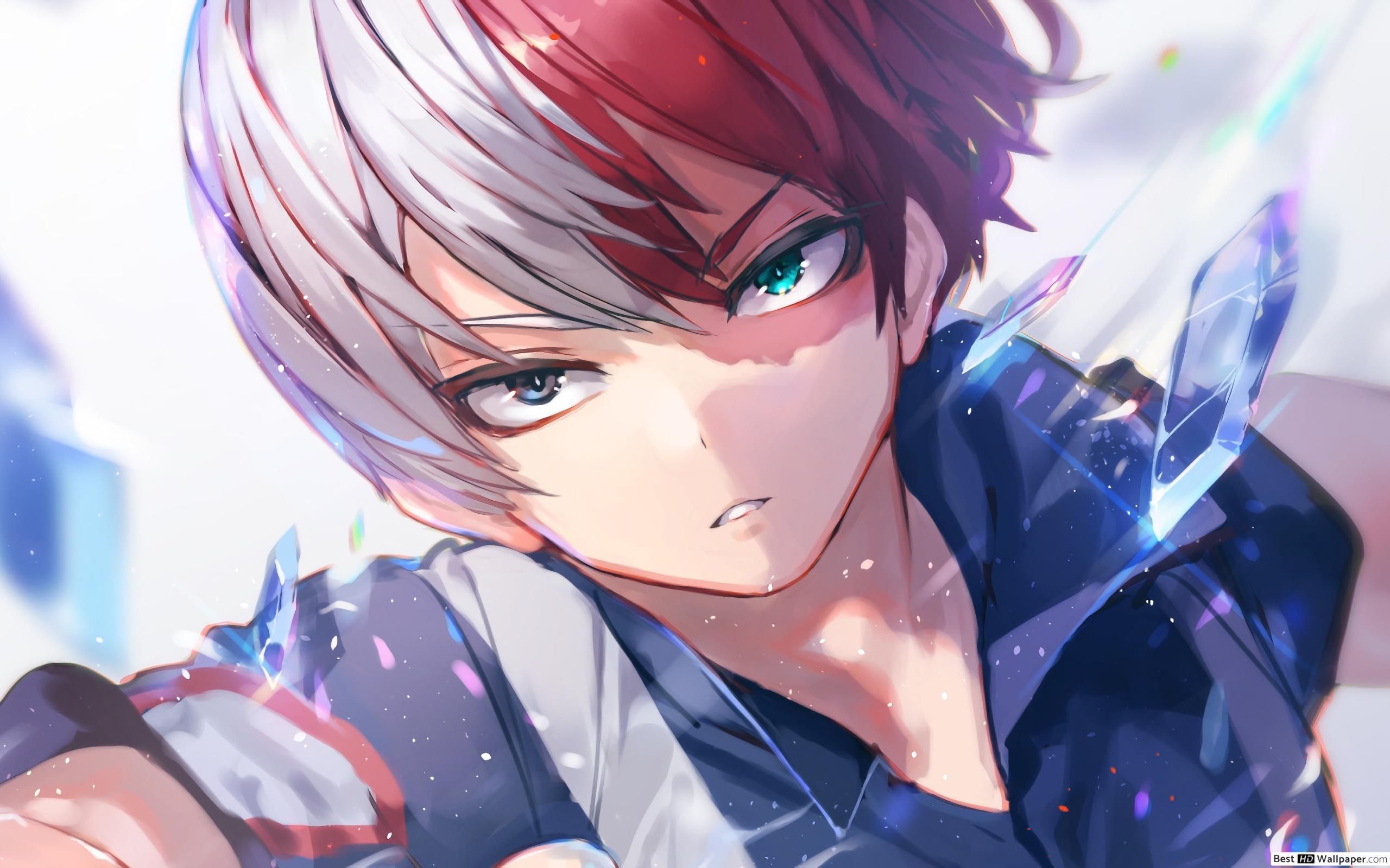 Todoroki Black Wallpapers - Top Free Todoroki Black Backgrounds ...