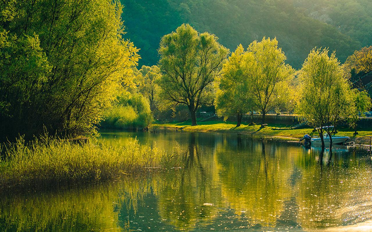 1280x800 Image Montenegro Rijeka Crnojevica Nature Rivers Trees