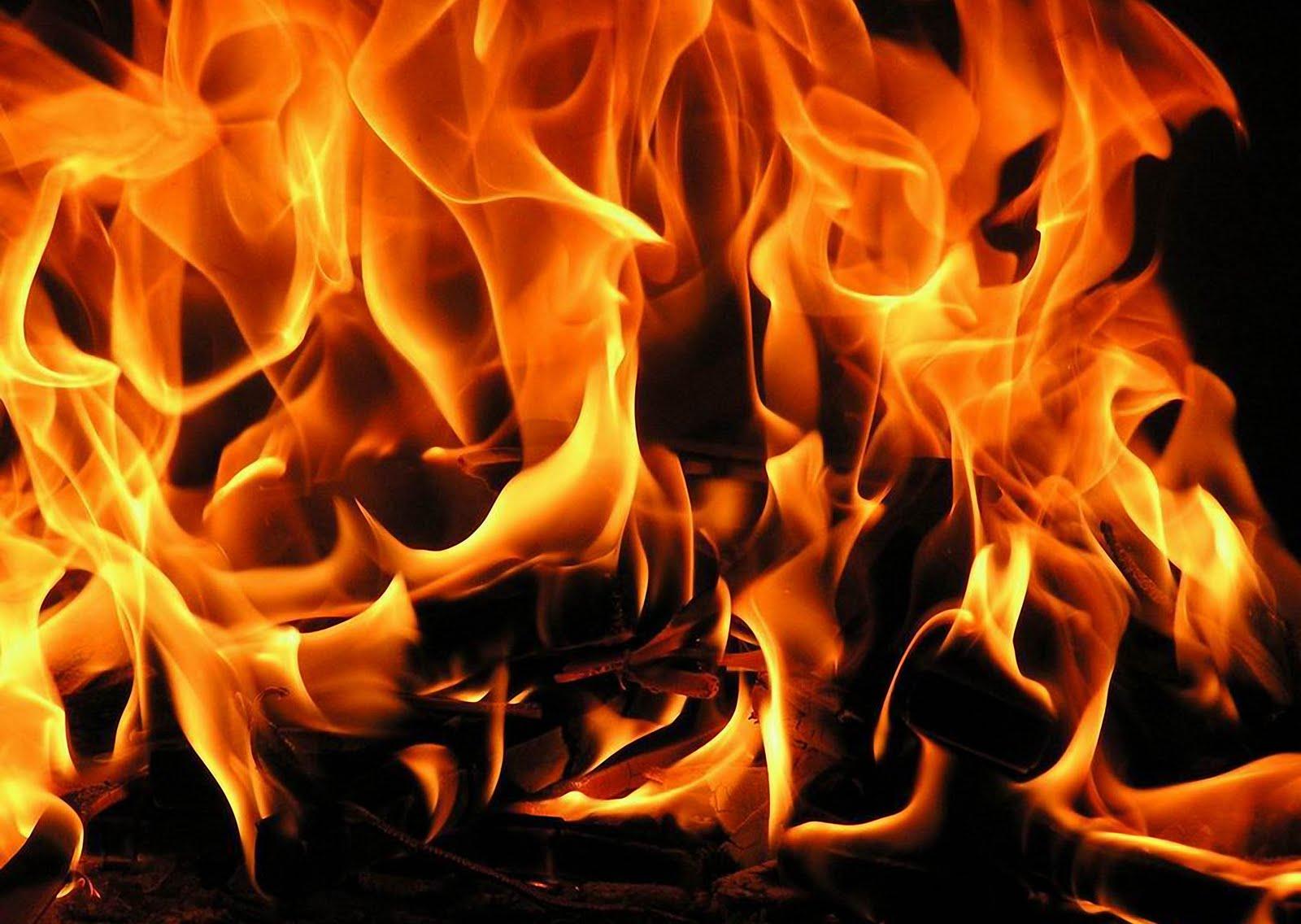 1600x1136 goldoverblu: Fire Wallpaper Wallpaper of Fires