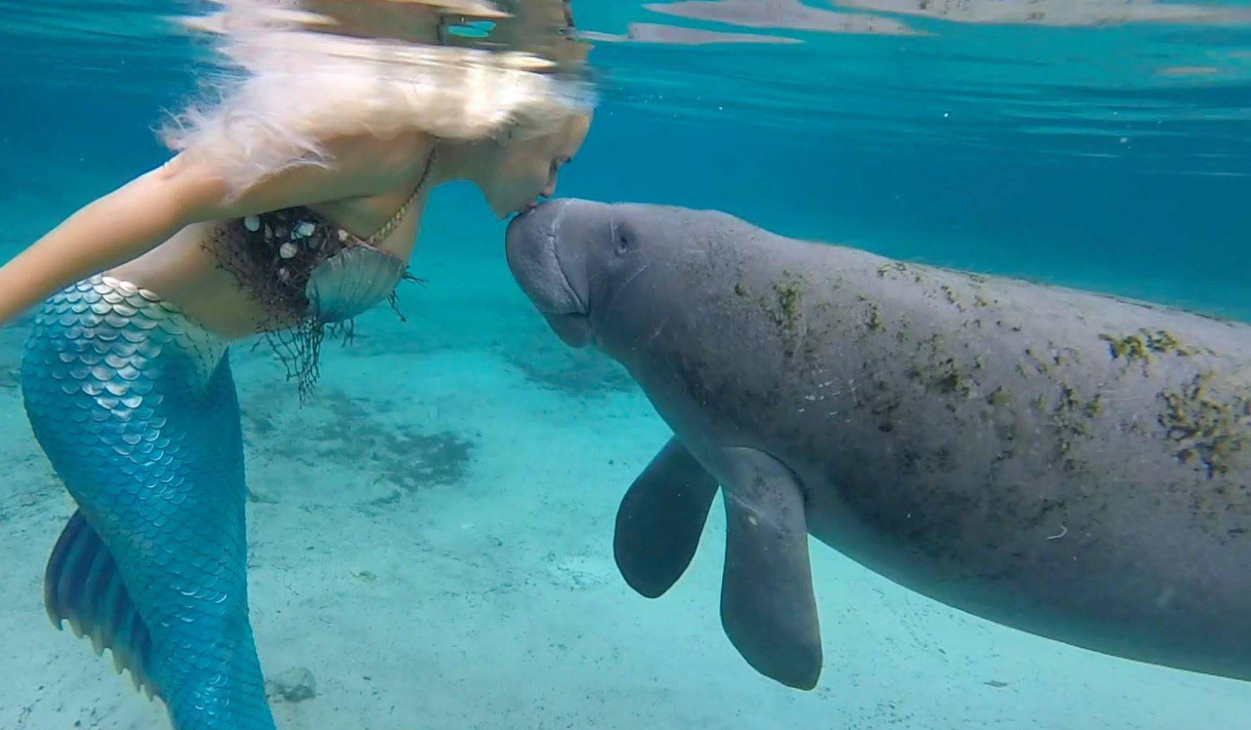 1785x1042 Mermaid Melissa: The Manatee Whisperer Kisses A Mermaid!. Real life mermaids, Mermaid image, Mermaid photography