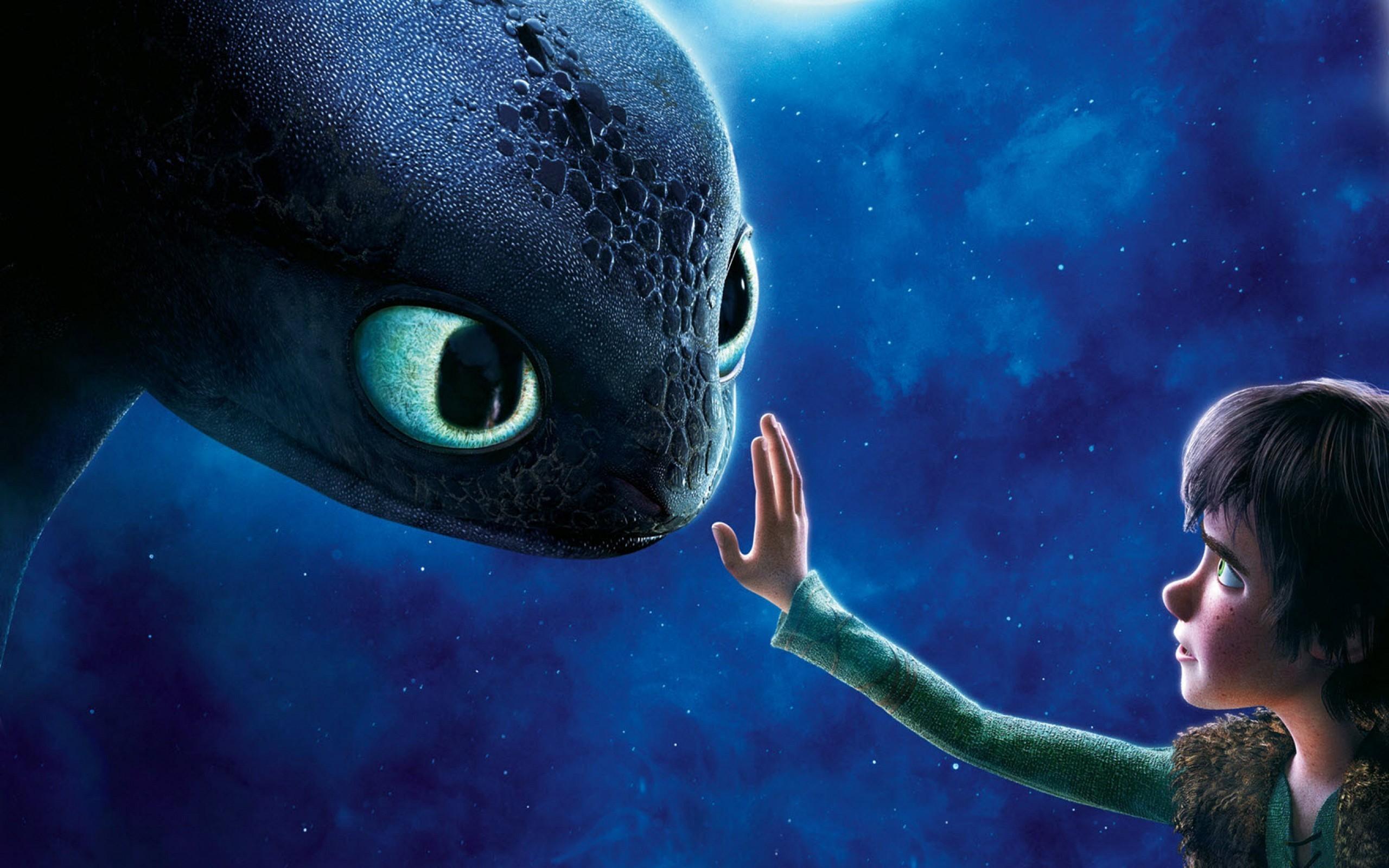 2560x1600 #Toothless, #animated movies, #movies, #Hiccup, #How to Train Your Dragon, wallpaper. Mocah HD Wallpaper