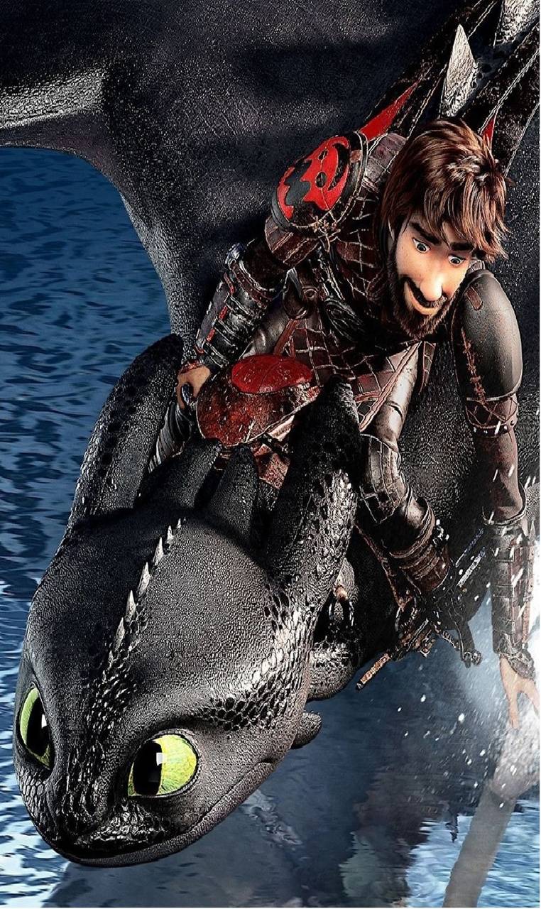 762x1280 Hiccup and Toothless wallpaper