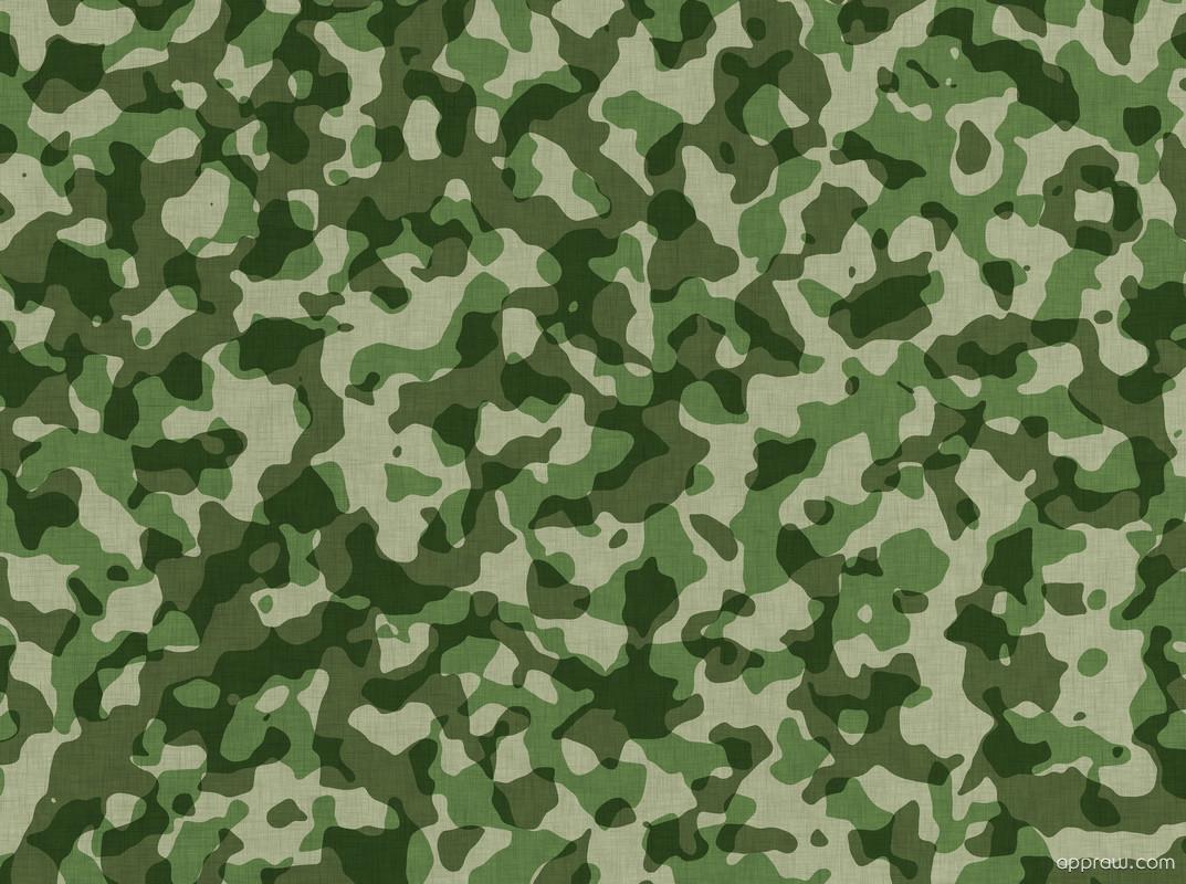 1073x800 Army Camouflage Wallpaper download HD Wallpaper