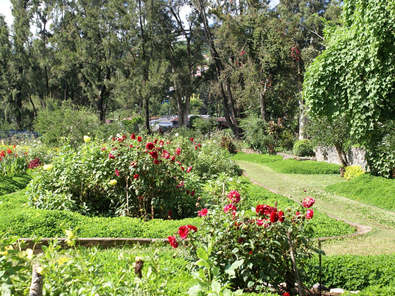 1600x1200 Baguio Wallpaper. Baguio Wallpaper
