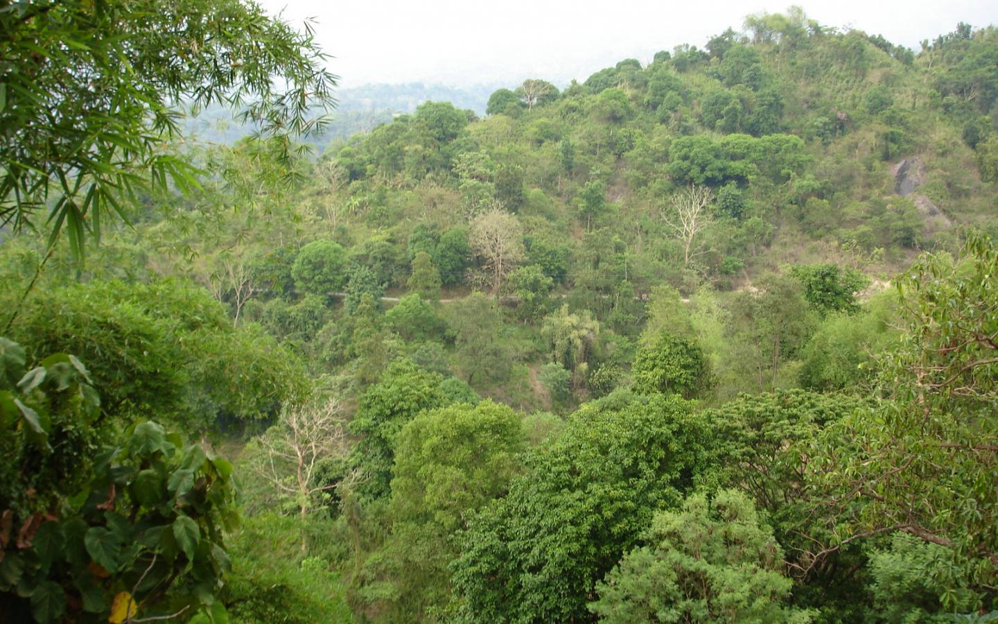 1440x900 Free download Scenery Wallpaper Tropical Mountain Scenery Baguio City To La Union [1600x1200] for your Desktop, Mobile & Tablet. Explore Louisiana Scenery Wallpaper. Louisiana Scenery Wallpaper, Louisiana Wallpaper, Louisiana Wallpaper