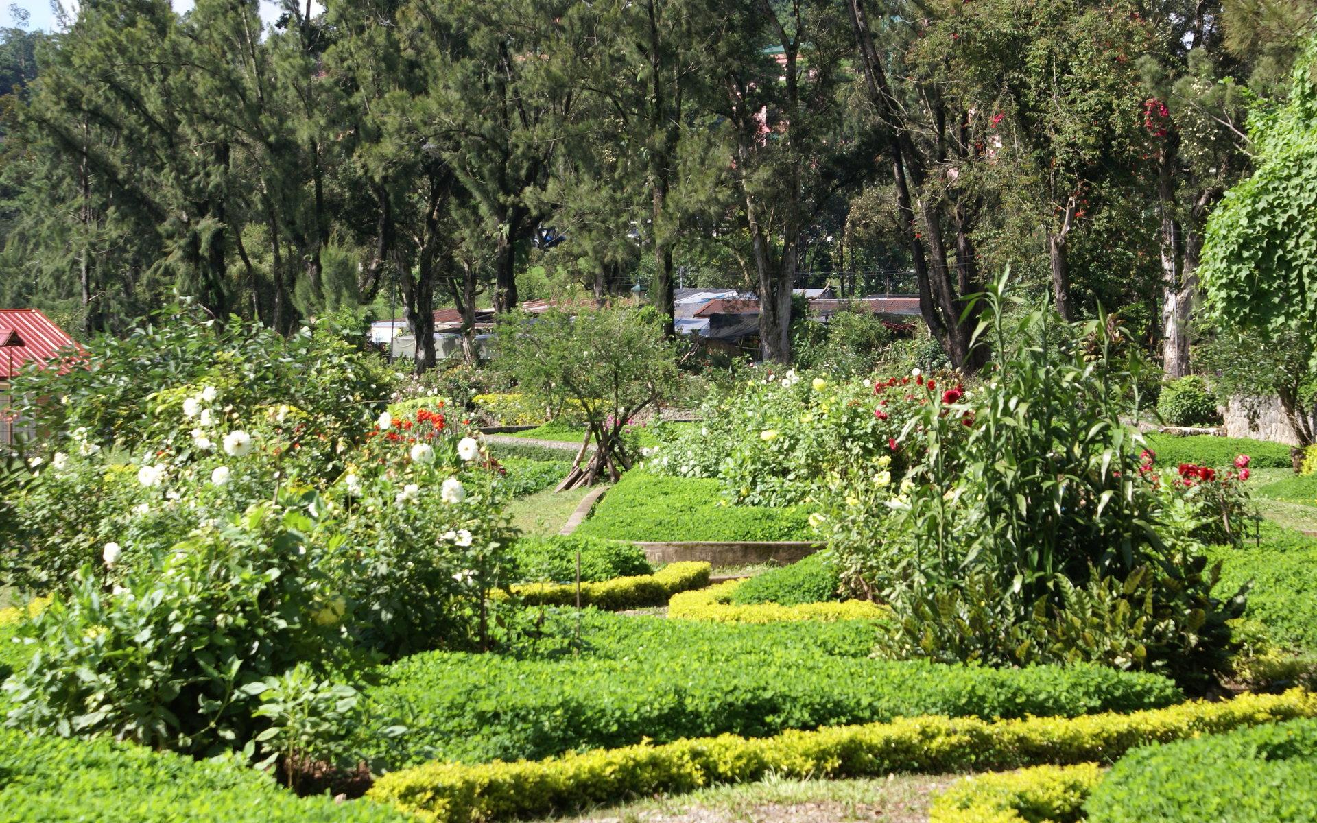 1920x1200 Flower park widescreen wallpaper: Burnham Park flower wallpaper