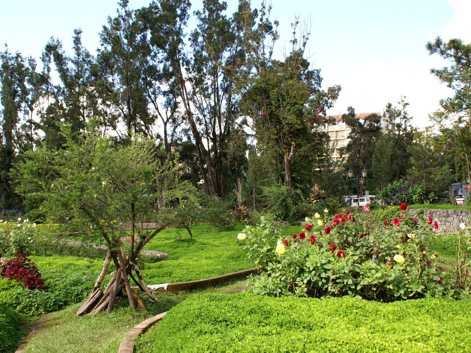 1600x1200 Flower park wallpaper: Tropical flower park wallpaper from Baguio City