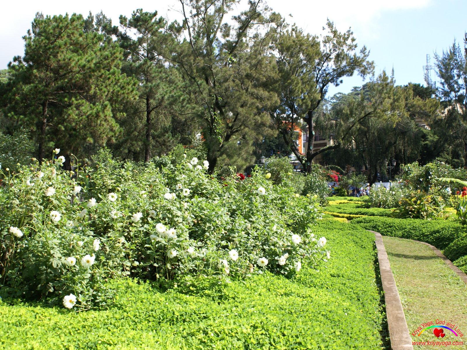 1600x1200 Flower park wallpaper: Tropical flower park wallpaper from Baguio City