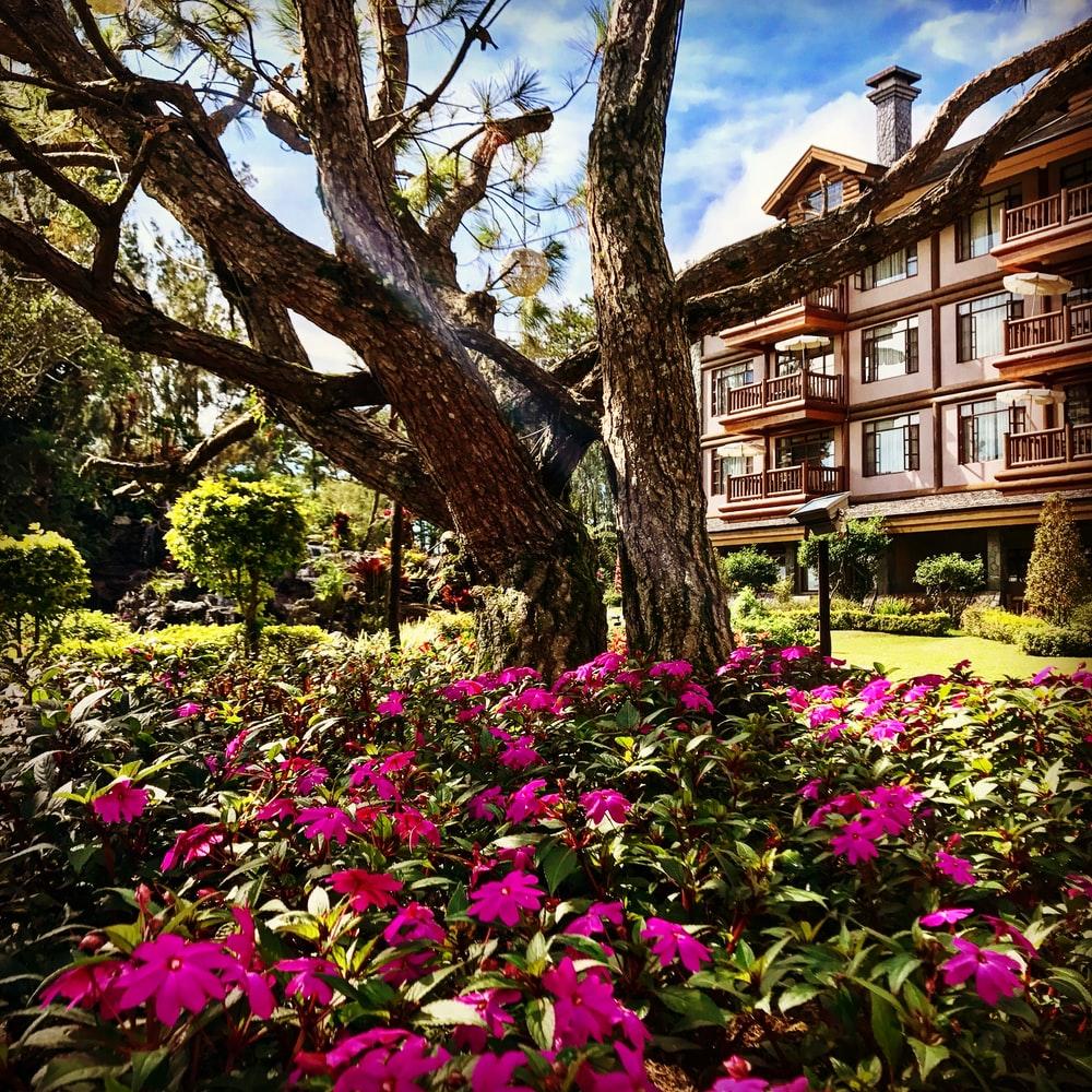 1000x1000 Baguio City, Philippines Picture. Download Free Image