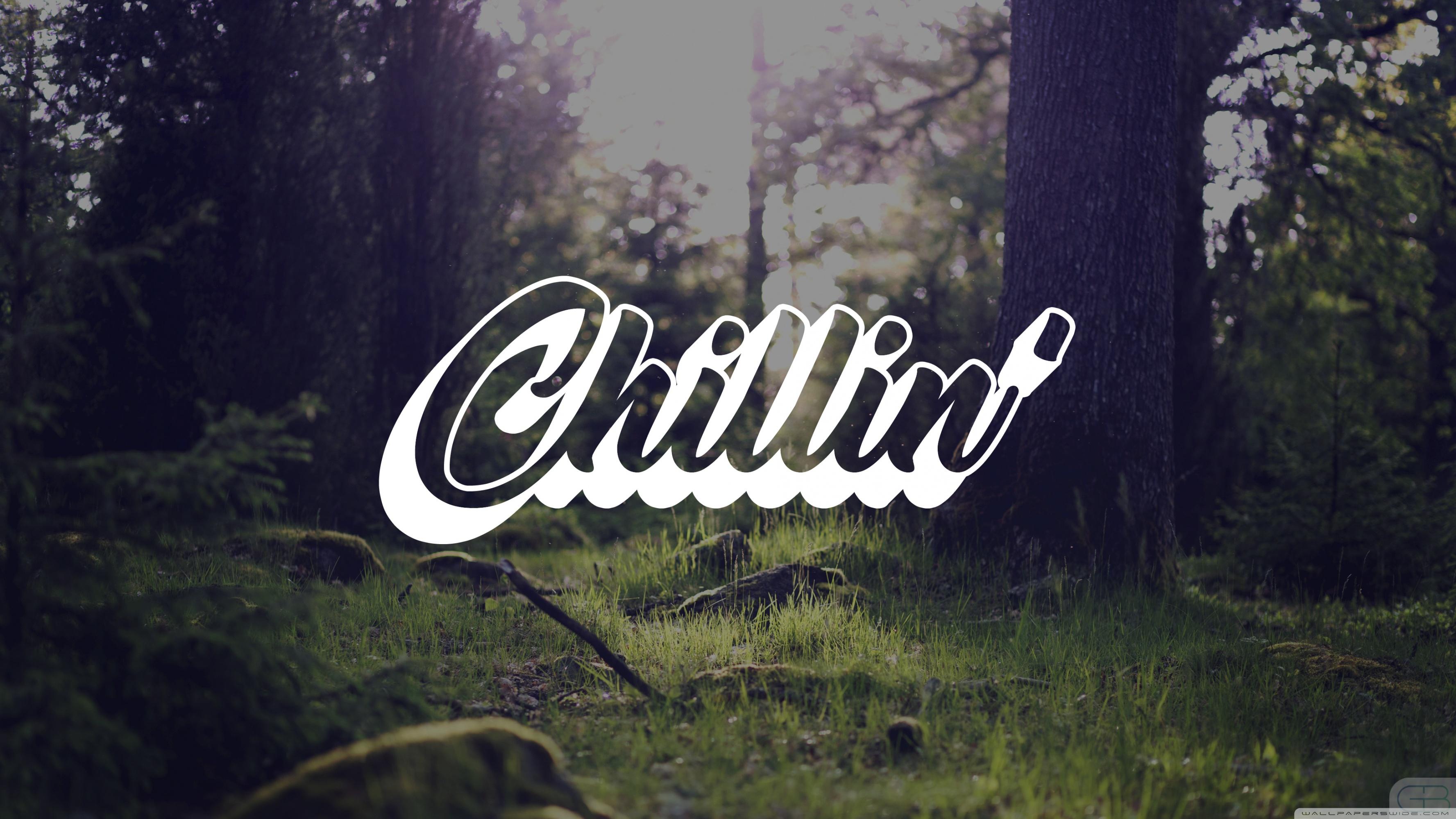 3554x1999 Chillin Forest Ultra HD Desktop Background Wallpaper for 4K UHD TV : Tablet