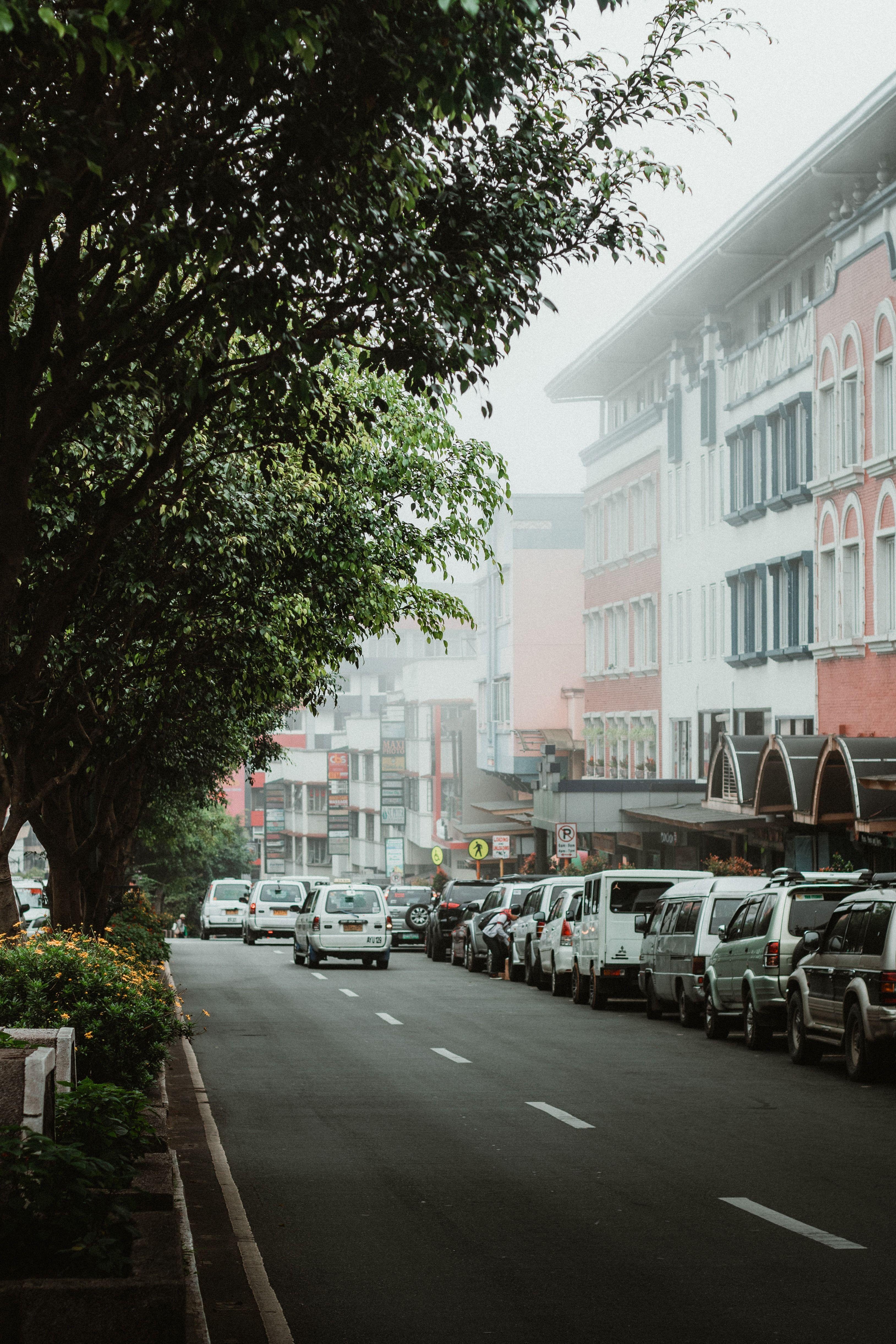 3257x4885 Fog and Mist. Scenery photography, Baguio city, City aesthetic