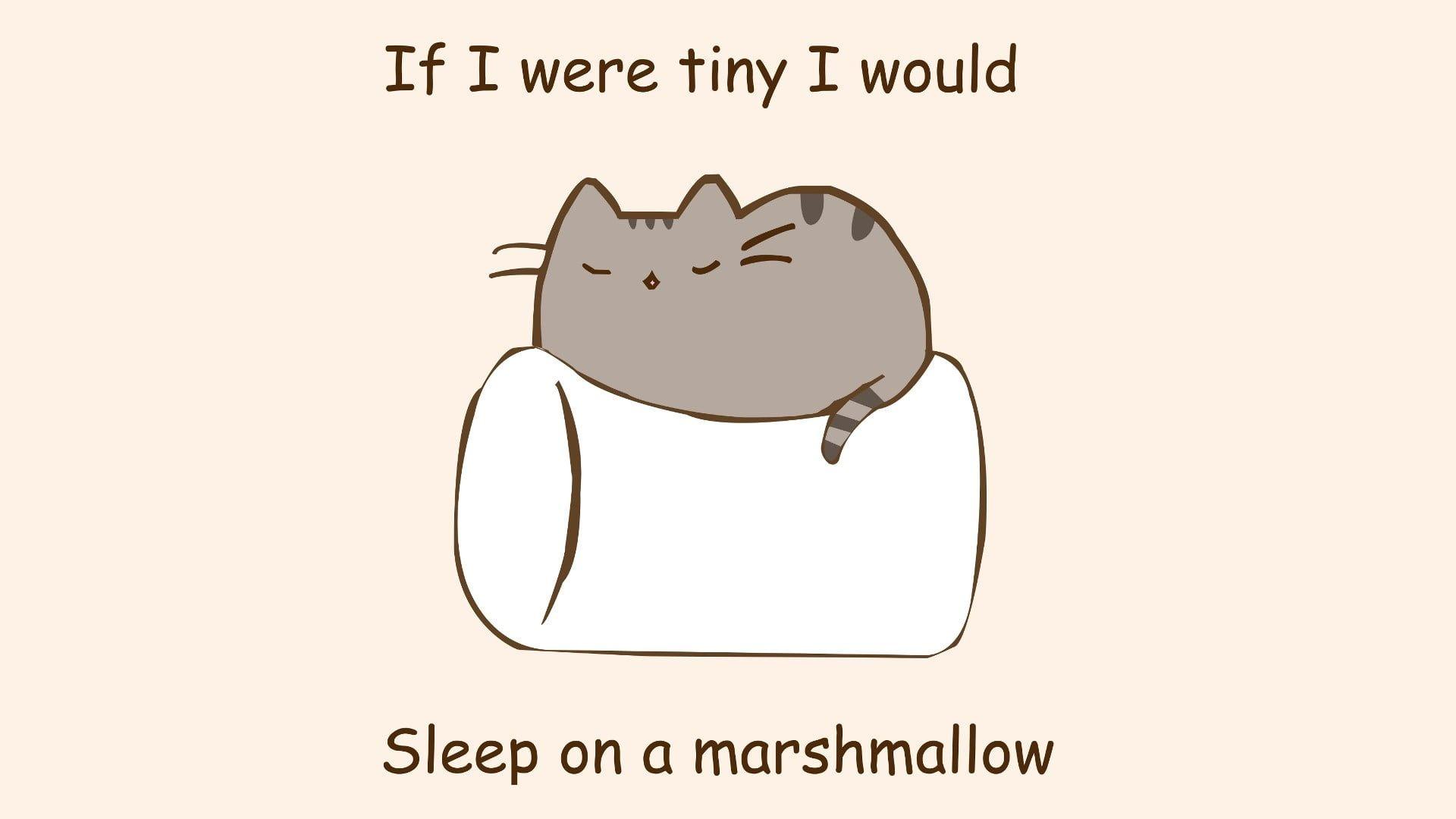 1920x1080 gray cat cartoon #humor #marshmallows #quote #cat #pusheen #artwork P # wallpaper #hdwallpaper #desktop. Marshmallow, Pusheen, Cute marshmallows