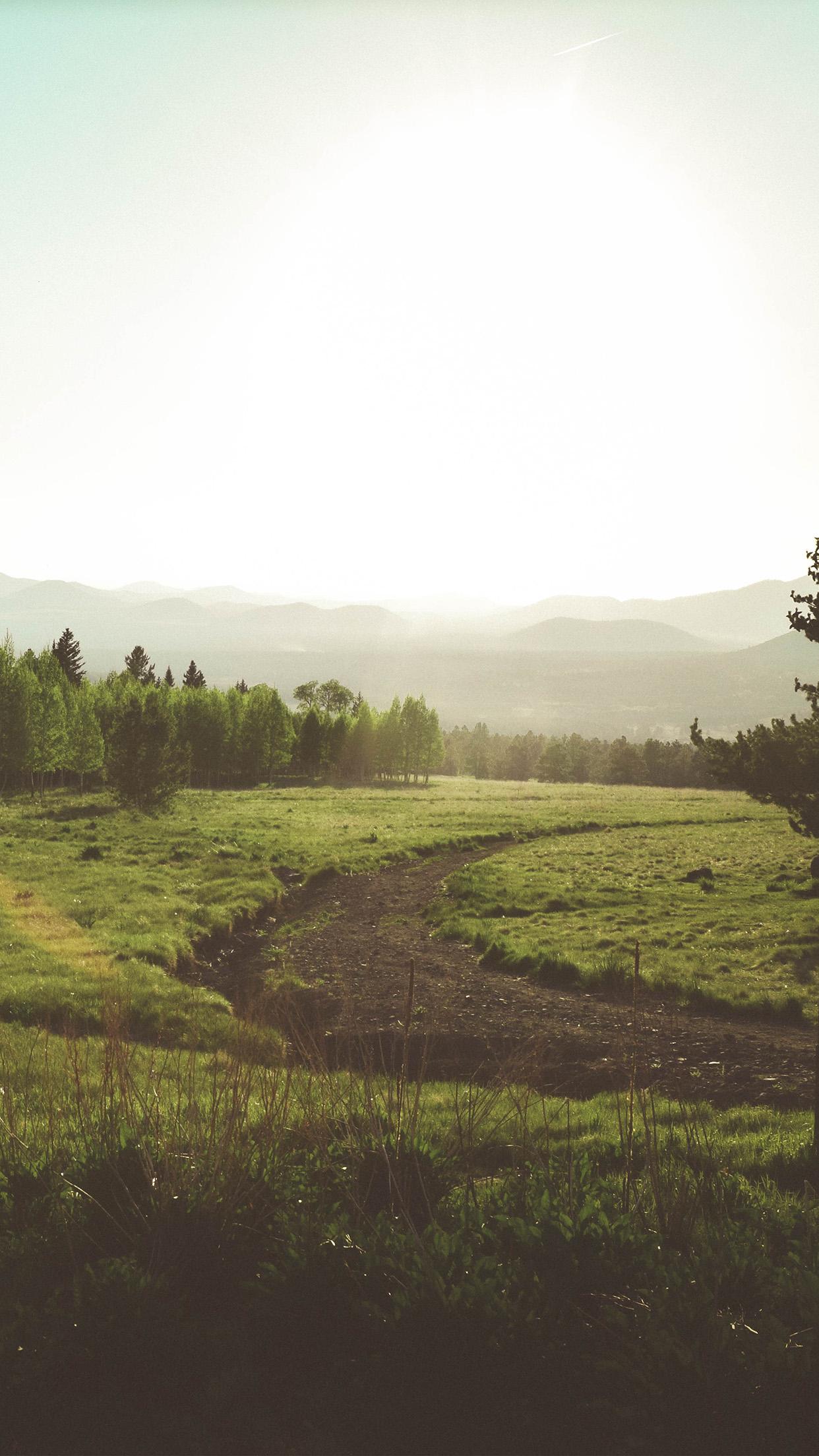 Green Area Wallpapers - Top Free Green Area Backgrounds - WallpaperAccess