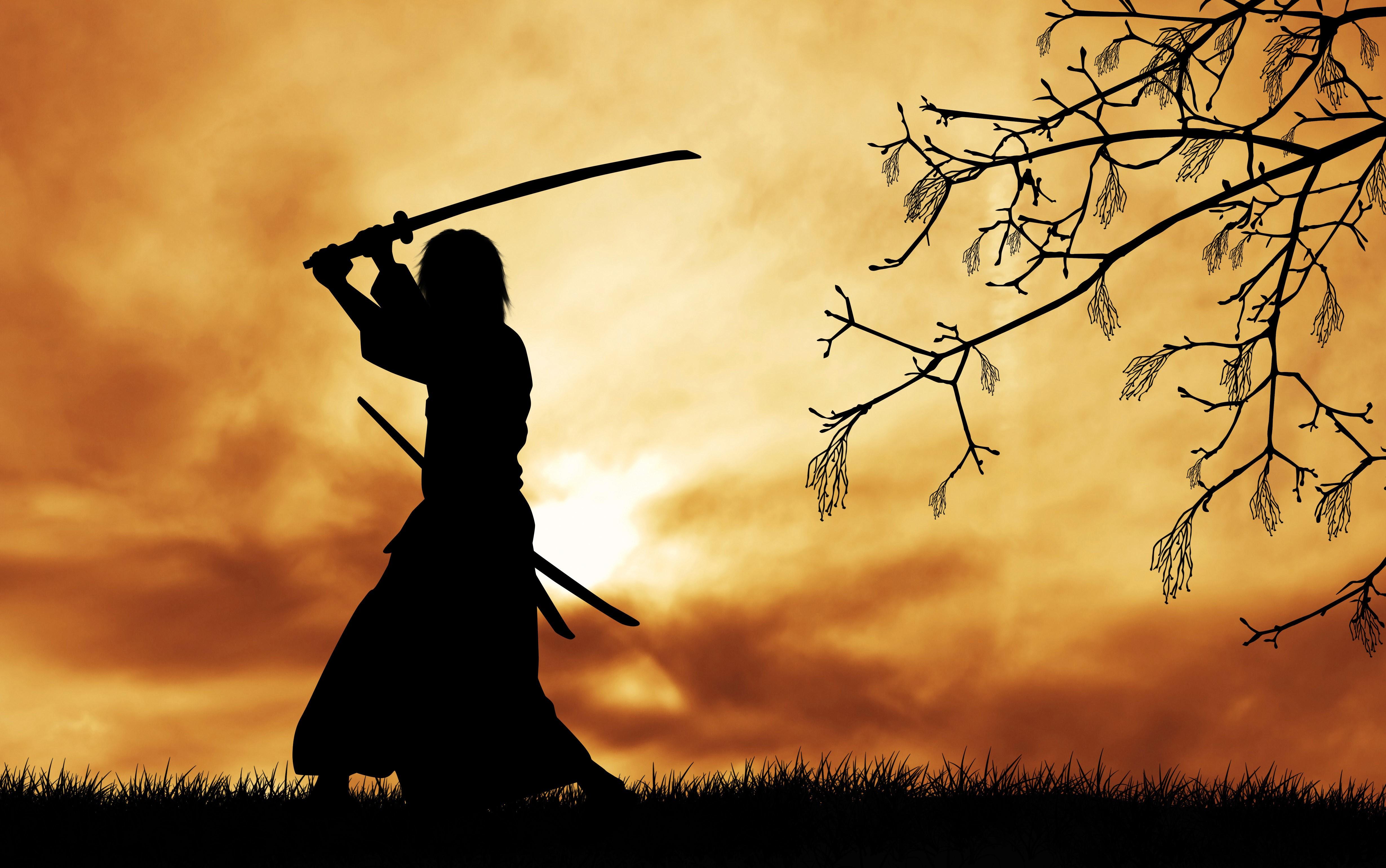 4920x3082 #grass, #sword, #Sun, #silhouette, #branch, #clouds, #trees, #katana, #Japanese clothes, #samurai, #digital art, wallpaper. Mocah HD Wallpaper