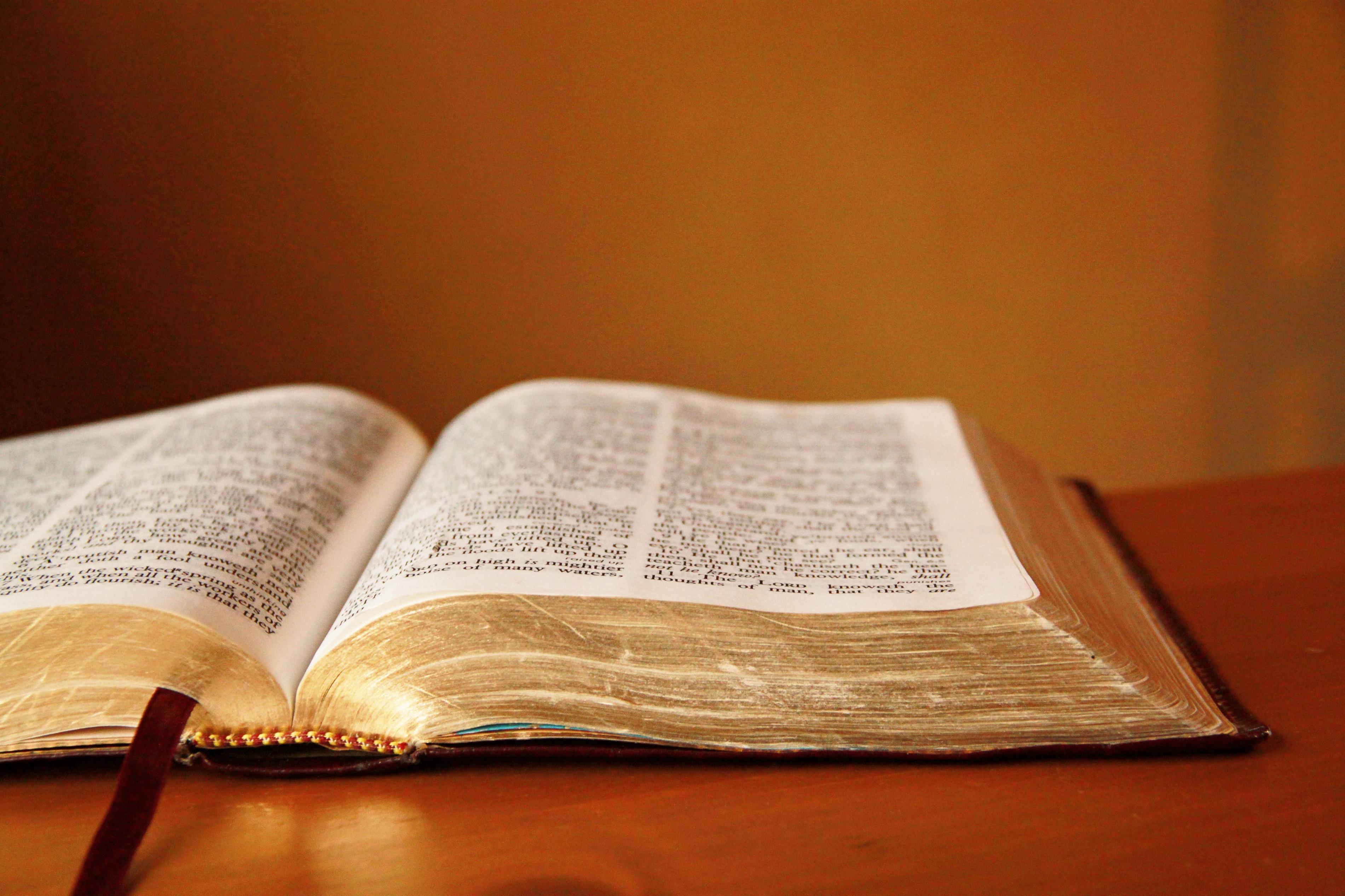Free Bible 58 - 5ri217u