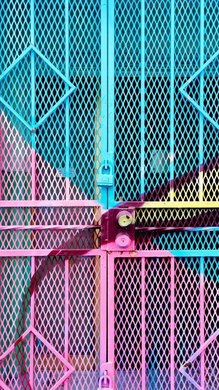 Cute Coral Wallpapers Top Free Cute Coral Backgrounds WallpaperAccess