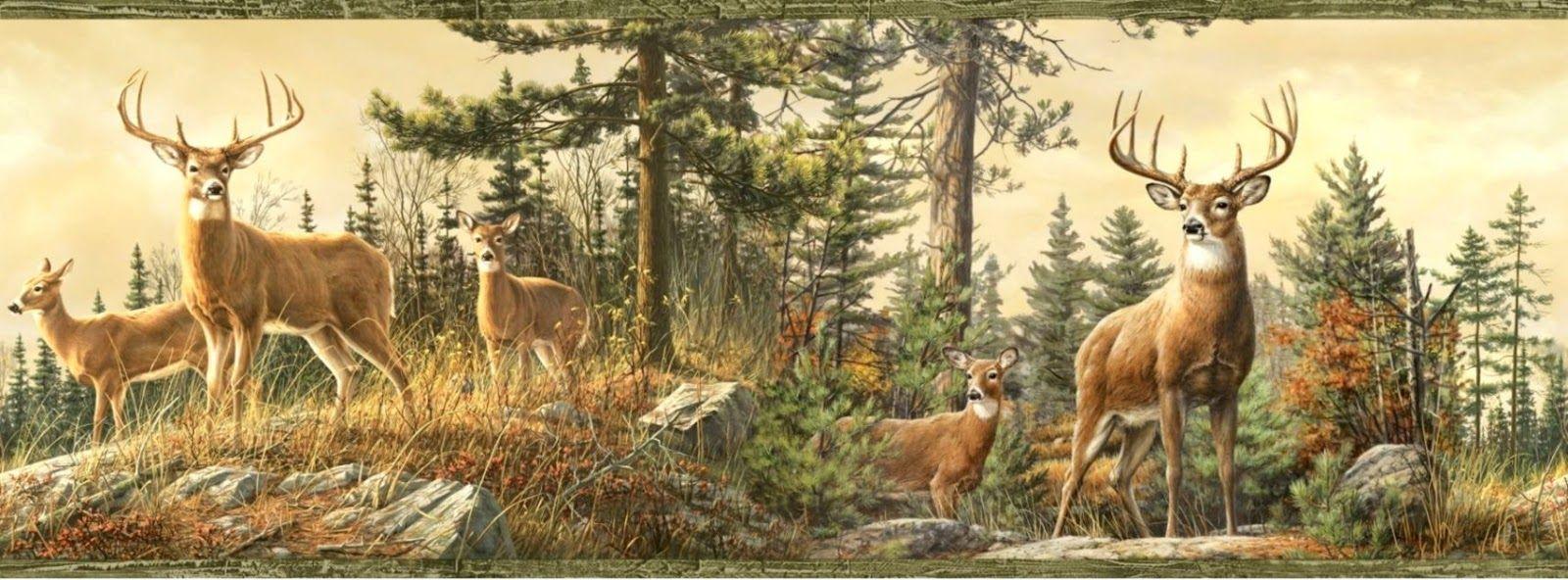 1600x592 Fall Whitetail Deer Wallpaper, HD Fall Whitetail Deer Background on WallpaperBat