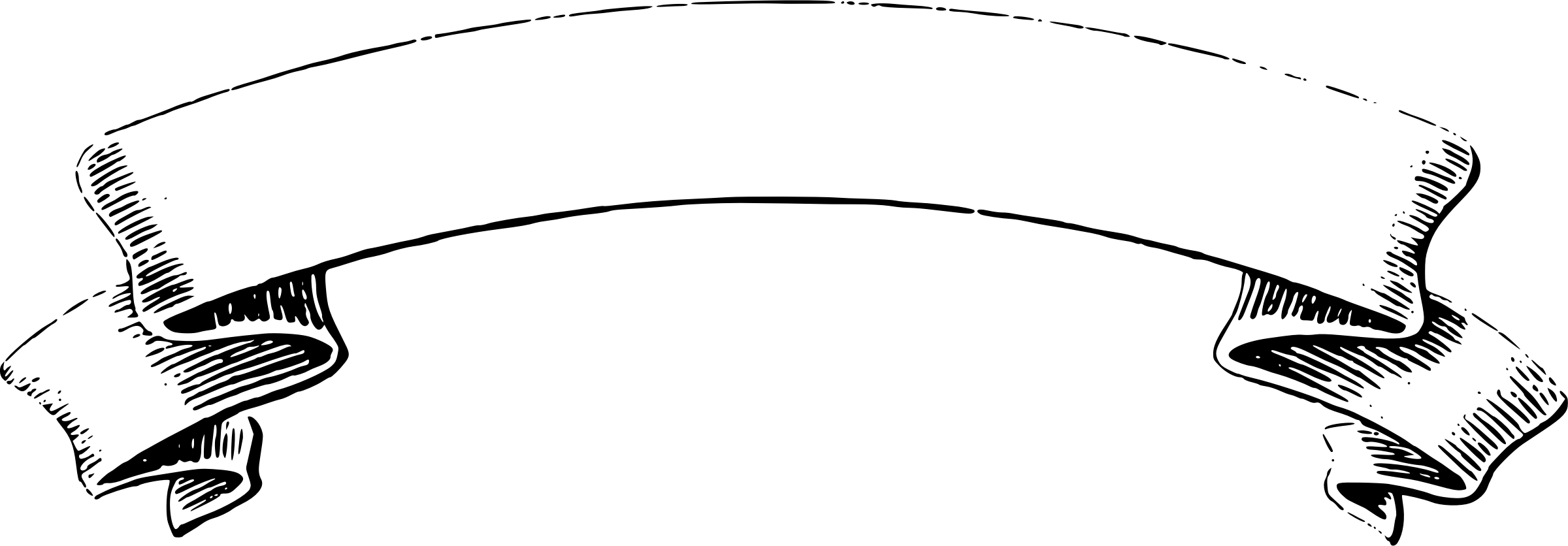 2400x836 Fancy Banner Vector