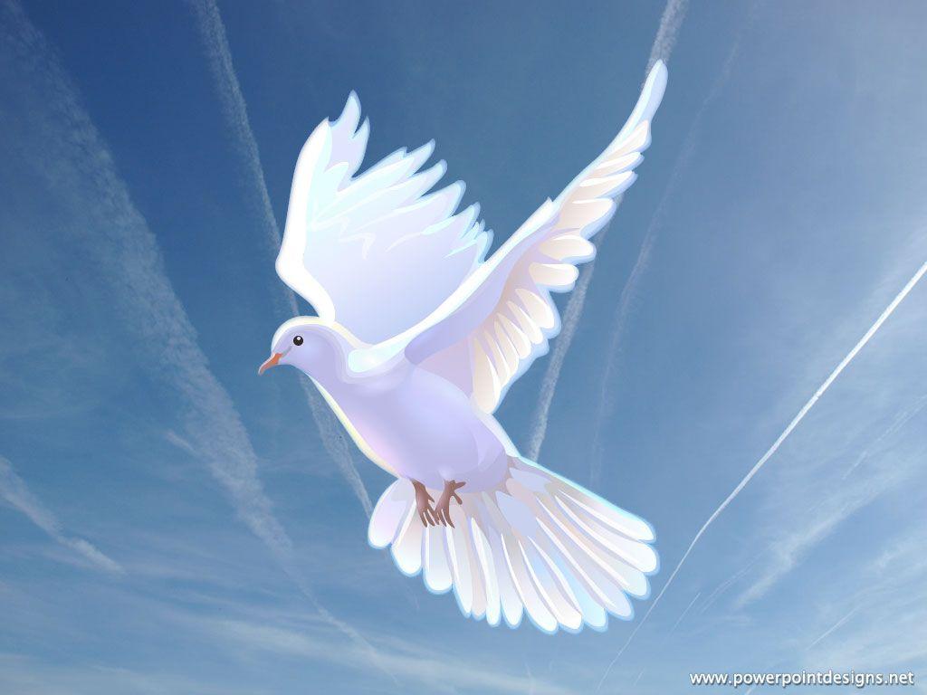 1024x768 Doves Wallpaper: Dove. Dove picture, Dove image, Dove flying