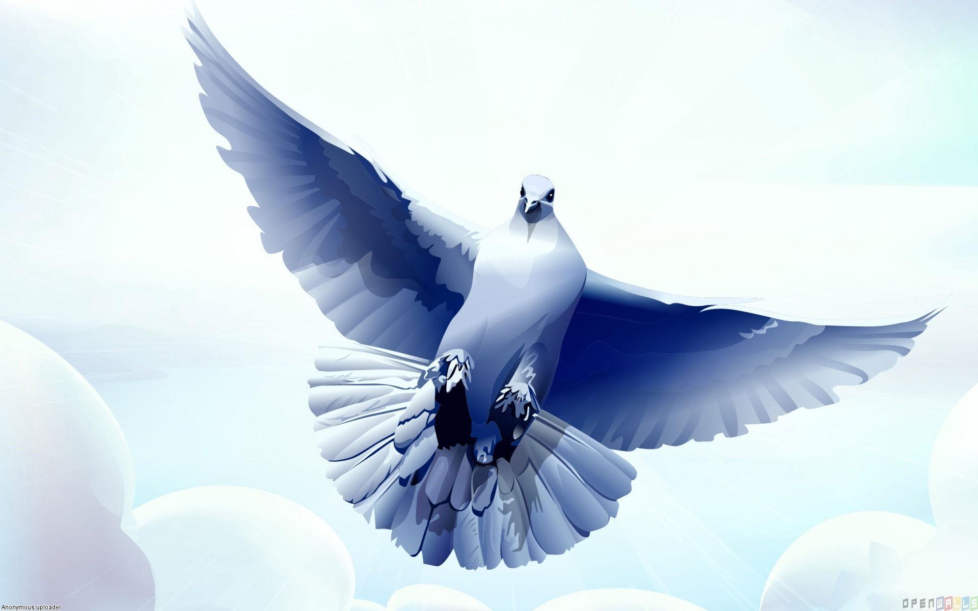 1920x1200 Free download White dove wallpaper 329 Open Walls [1920x1200] for your Desktop, Mobile & Tablet. Explore White Dove Wallpaper. Dove Wallpaper, White Gadget Wallpaper